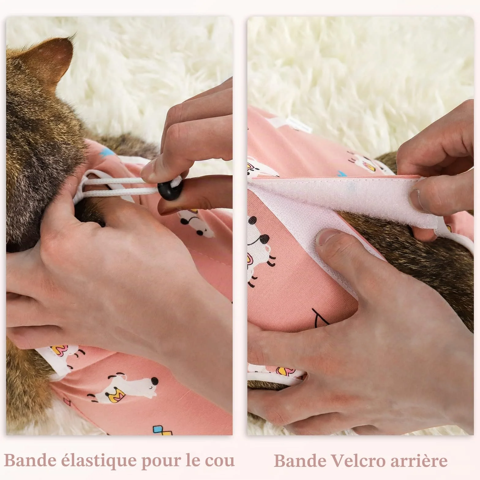 Lot de 2 Combinaison pour Chat Plaies Abdominales, Gilet de Récupération et de Protection Respirant, Idéal Après Chirurgies (Alpaga+Bonbons, M)