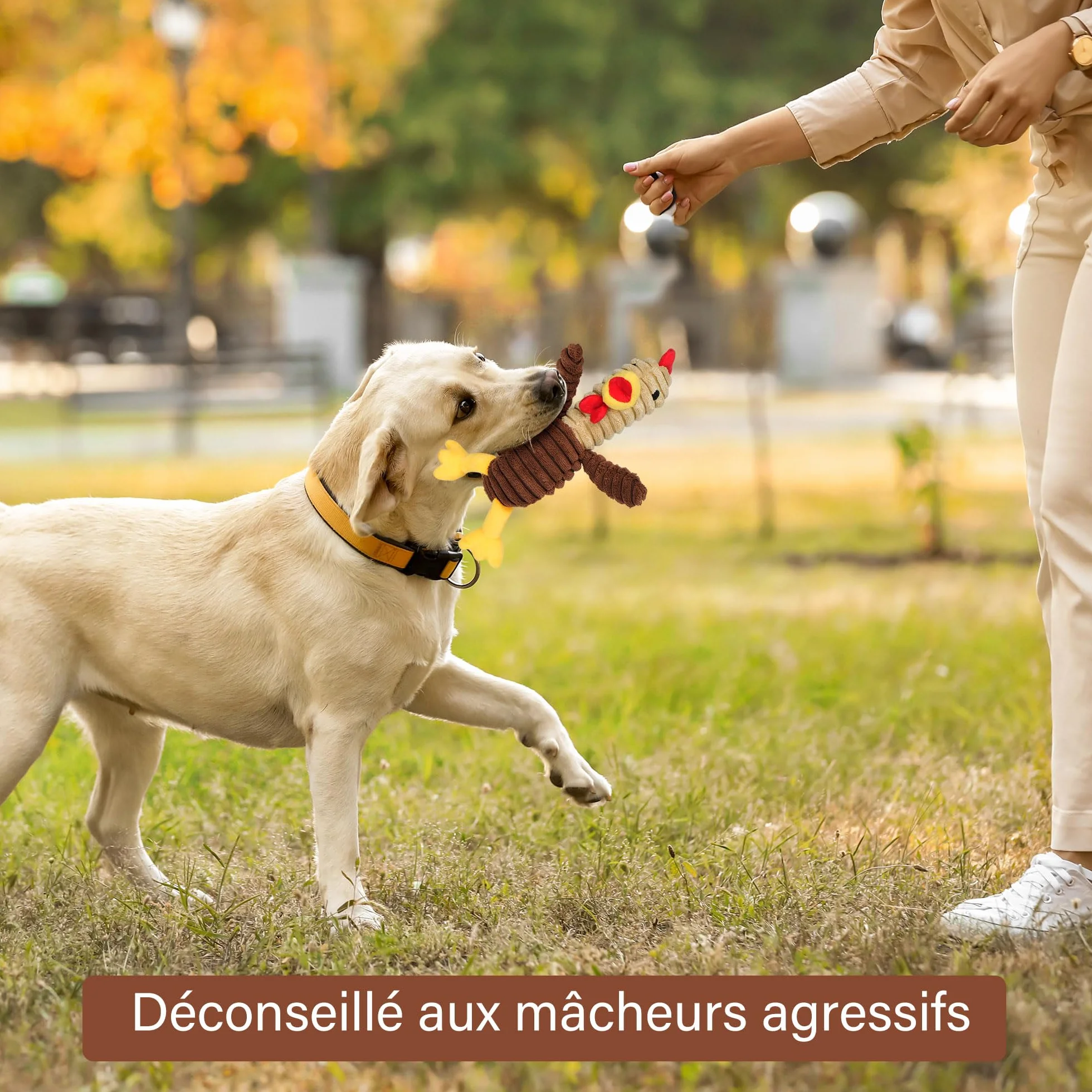PrimePets Lot de 5 Jouets en Peluche pour Chiens, Jouets à Mâcher Couineur Interactifs Durable