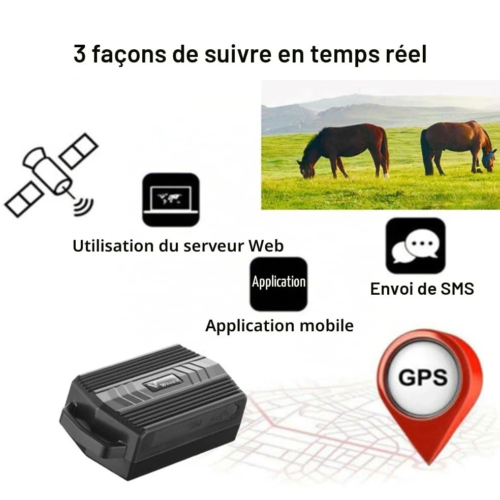 TKMARS Traceur GPS 4G pour Grands Animaux (Chiens de Chasse, Chevaux, Bétail) | Collier GPS Étanche IP66 | Suivi en Temps Réel et Historique | Autonomie 30 Jours | Alerte Geo-Clôture TK935