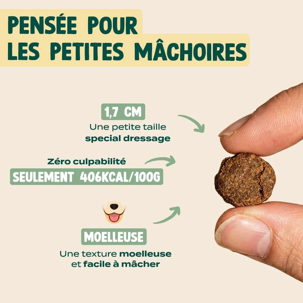 Franklin Friandise pour Chiot 90% Bœuf sans Céréales Riche en Protéines 80 g