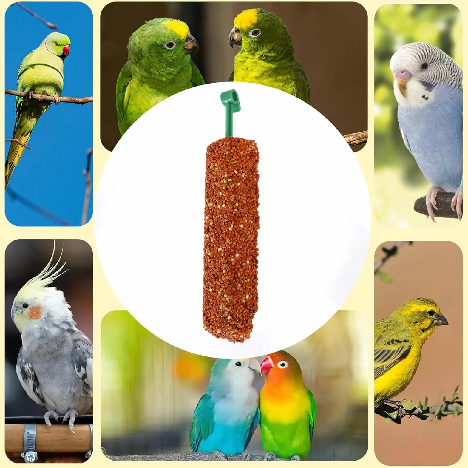 Friandises pour Calopsittes 2 Bâtonnets Récompenses Éducatives pour Perroquets