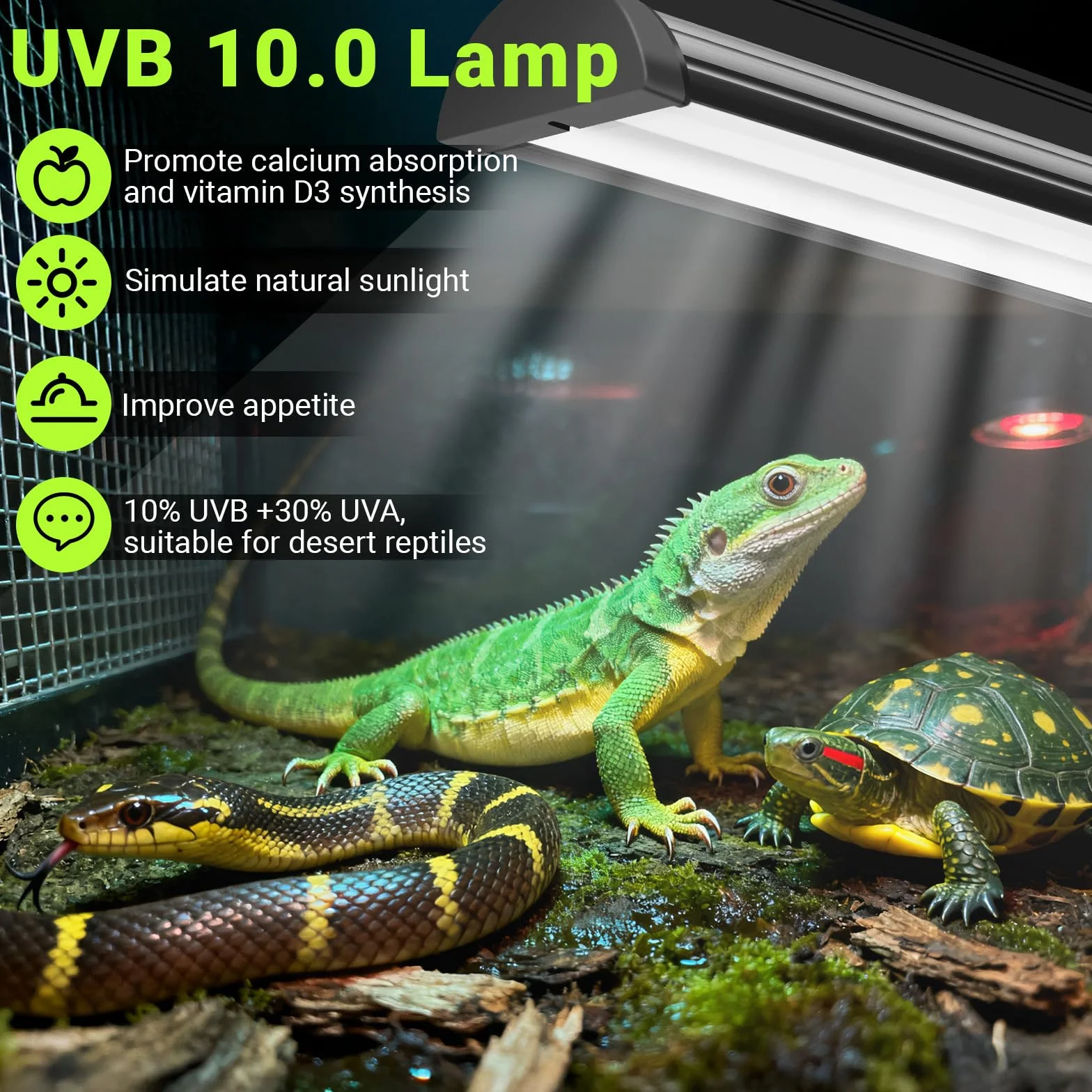 Kit Lumière UVB T5 8W pour Reptiles, 10% UVB & 30% UVA, Fixture 31,5 cm avec Tube UVB T5 10.0