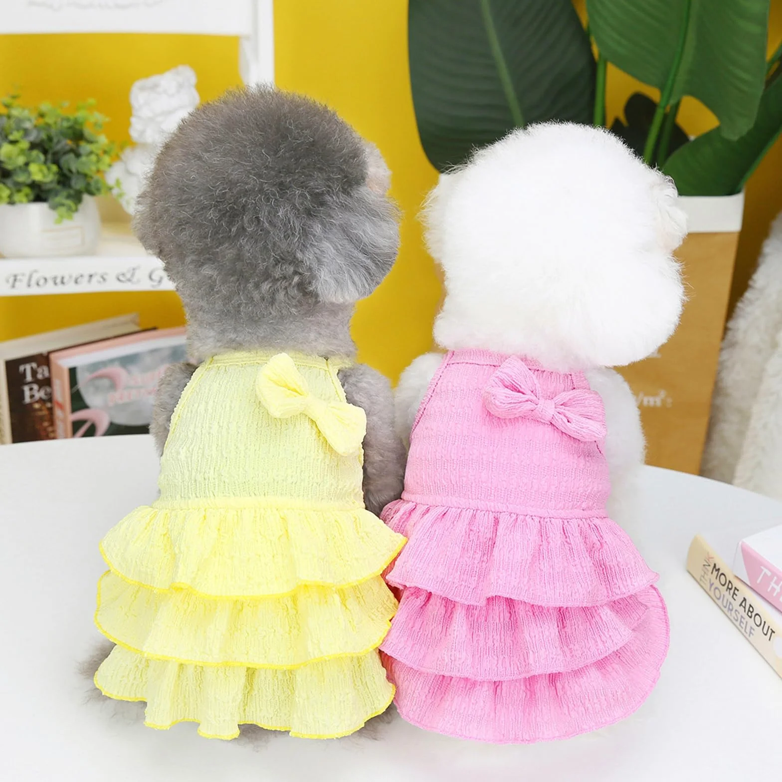 Robe pour chien et chat petite taille – Robe gâteau plusieurs niveaux nœud – Vêtement été Yorkshire Chihuahua