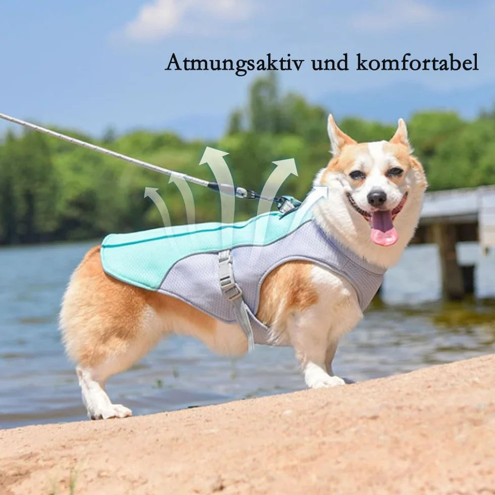 Gilet de refroidissement pour chiens Voarge, léger, respirant, réfléchissant, protection UV, taille S