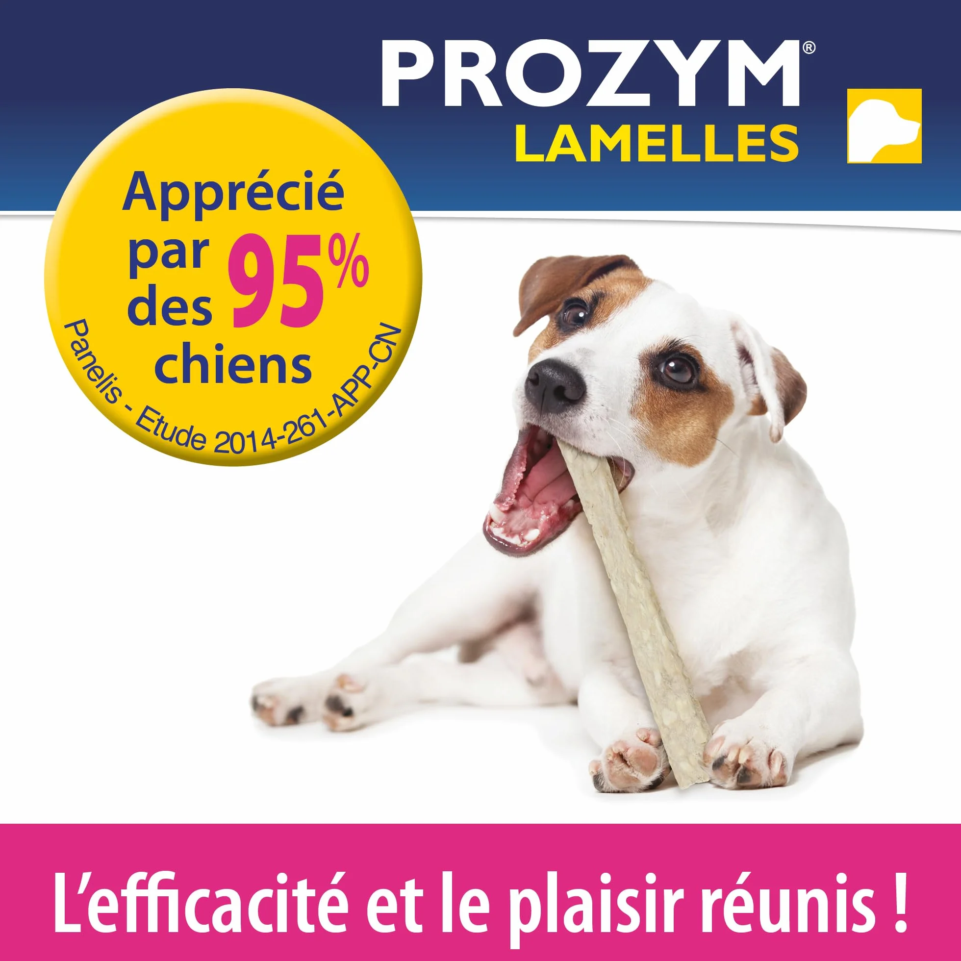 Prozym Lamelles Chiens Soin Dentaire Anti-tartre Anti-Plaque Haleine Fraîche (S)