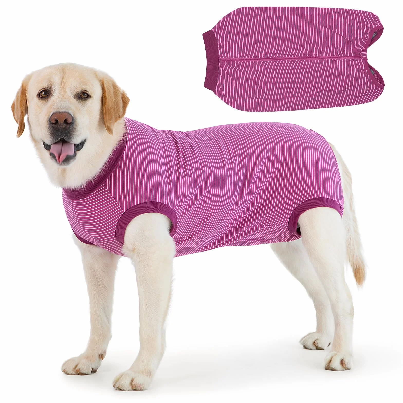 Combinaison Chien Post Operatoire Femelle Male Body Stérilisation Fuchsia