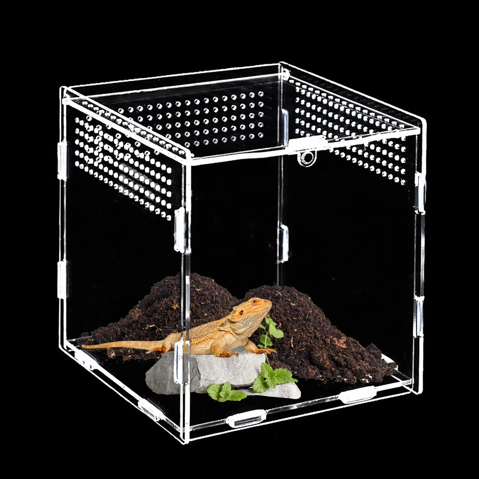 Terrarium Acrylique 15x15x15 cm Mini pour Araignée Sautante Escargots Reptiles