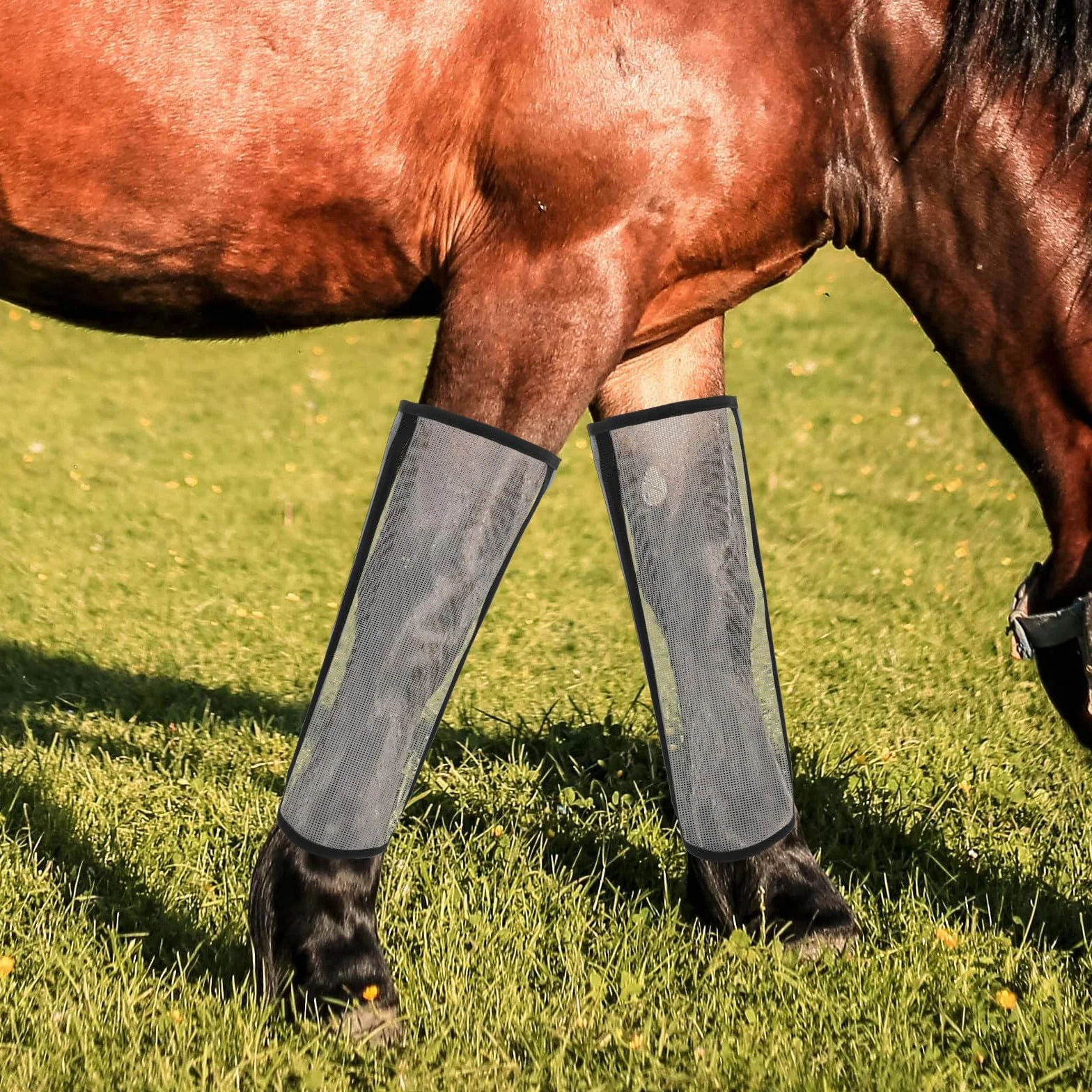 Guêtre Anti Mouche Âne Polyester Lot 4 Pièces Protection Respirante Jambes Cheval