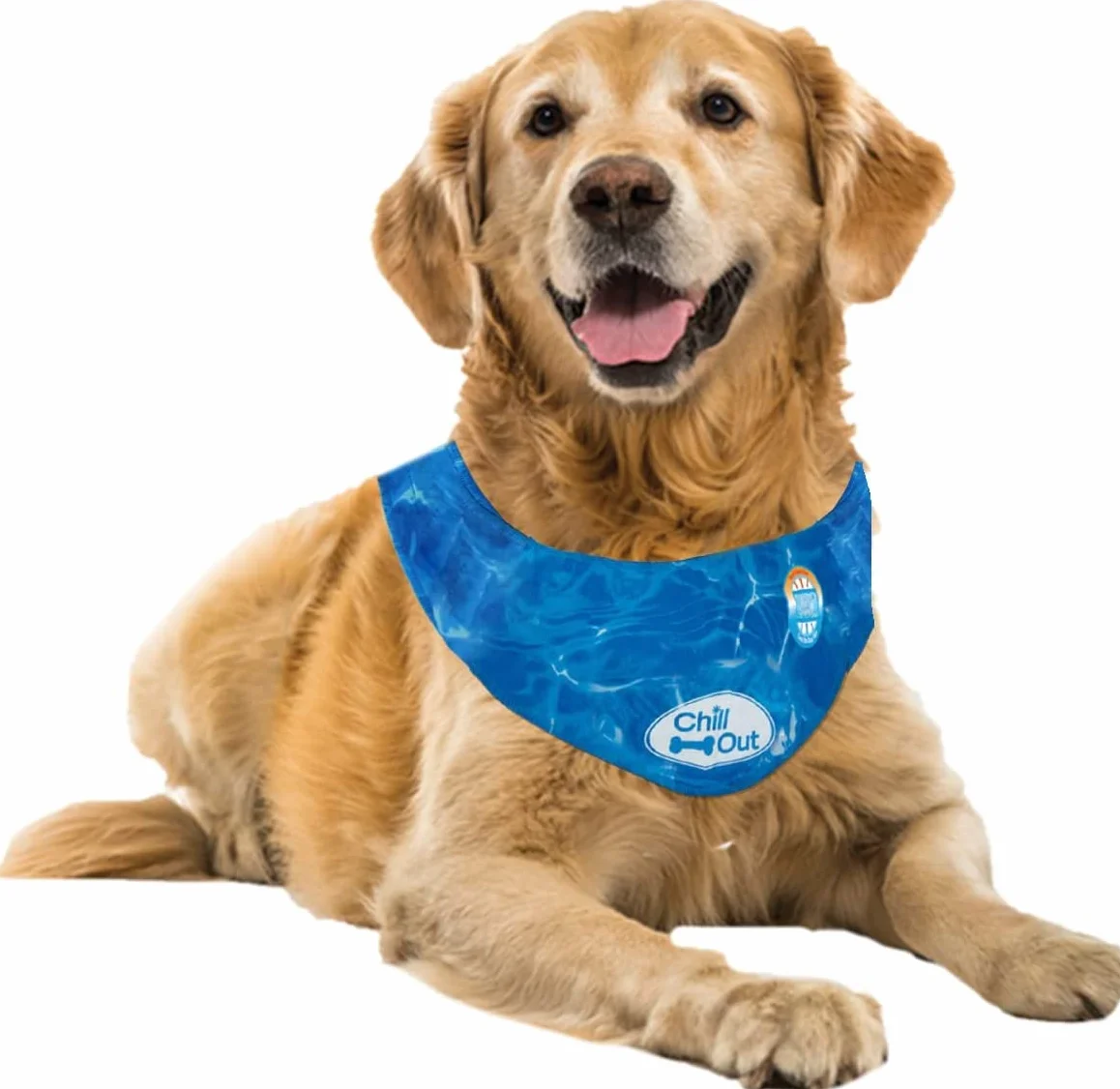 ALL FOR PAWS Bandana Rafraîchissant pour Chien, À Refroidissement Instantané Été, Tour De Cou 53-62cm XL