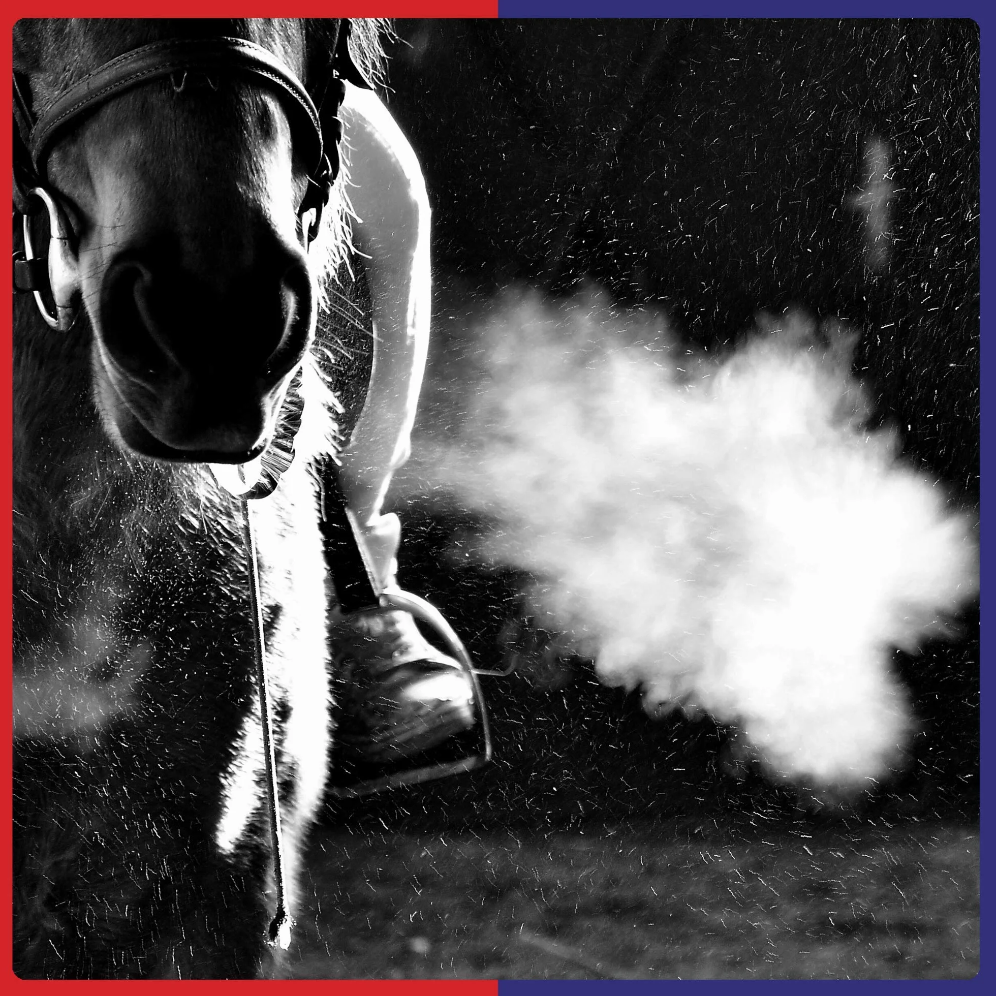 Equine America Complément Alimentaire pour Cheval Solution Airways 500 ML