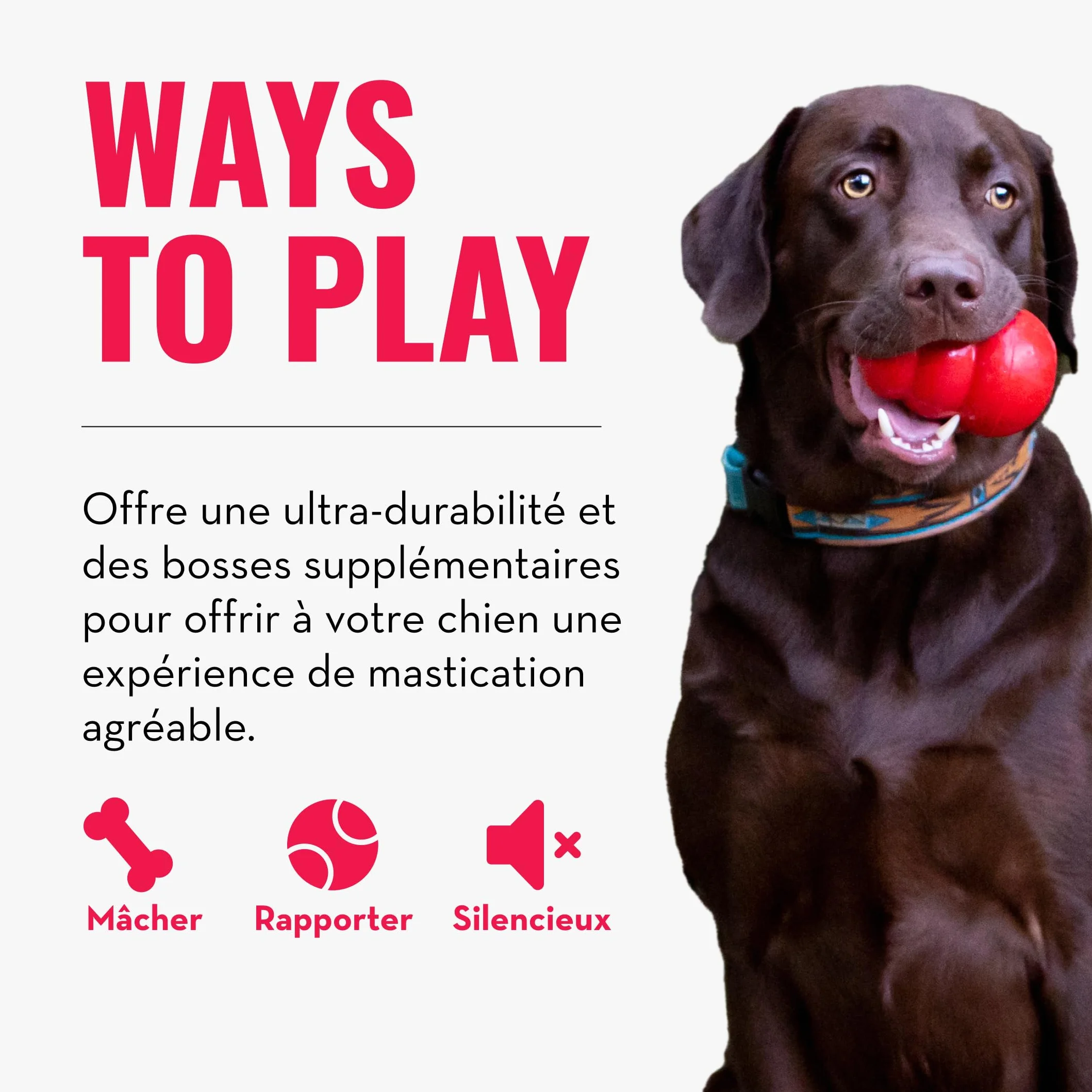KONG Ring Jouet à Mâcher pour Chien Caoutchouc Naturel Durable Petits/Moyens