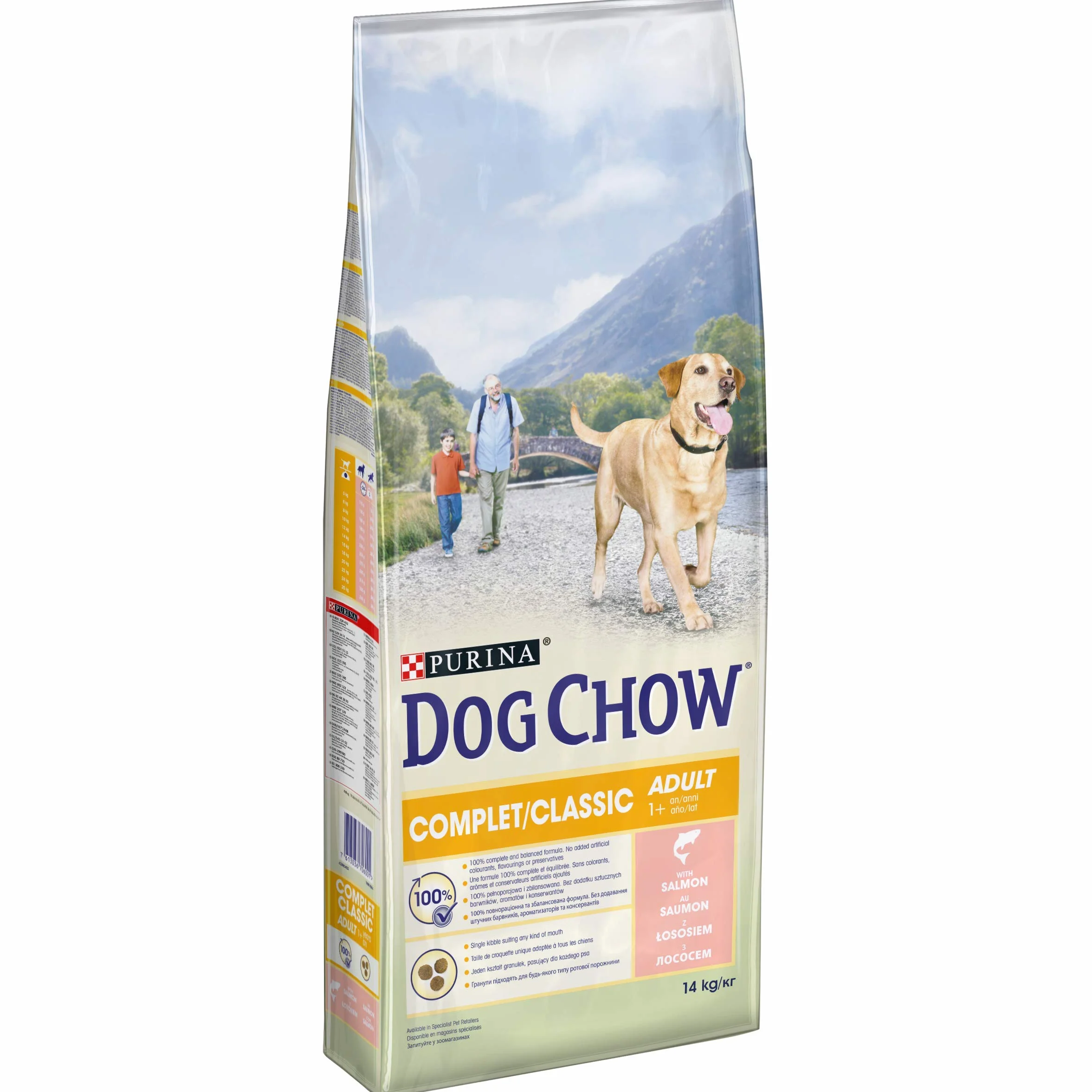 DOG CHOW Aliment Complet Chien Adulte Croquettes au Saumon 14 kg