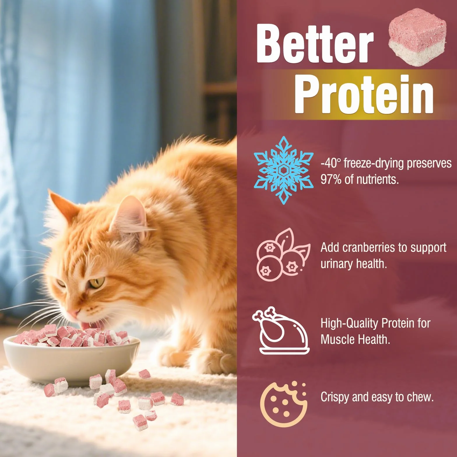 Friandises lyophilisées Poulet-Cranberry pour Chats et Chiens, Riche en protéines et antioxydants, sans céréales