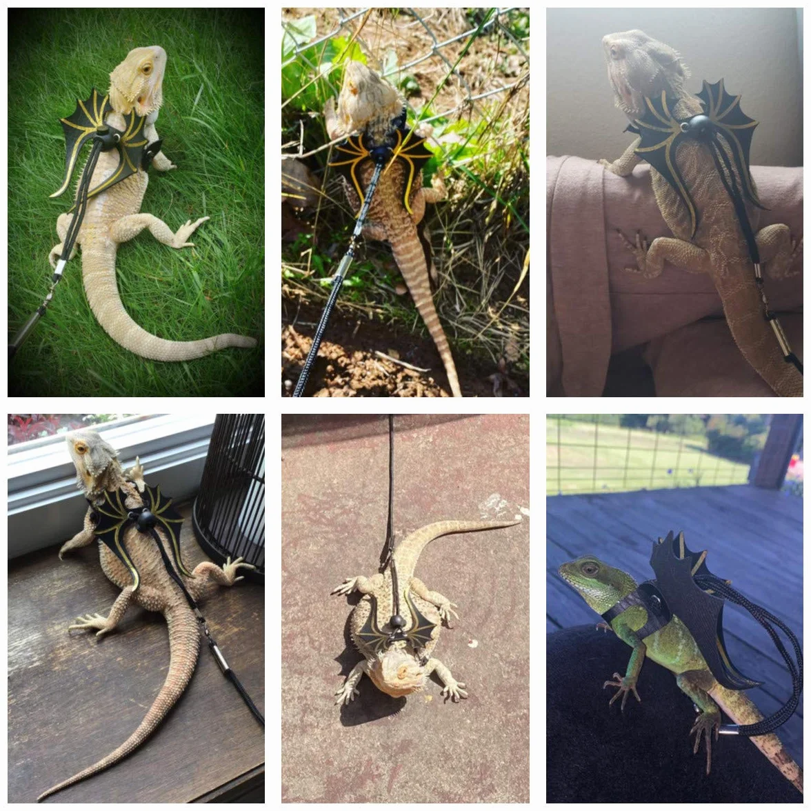 ADOGGYGO Lot de 3 Harnais pour Lézard Barbu Reptiles