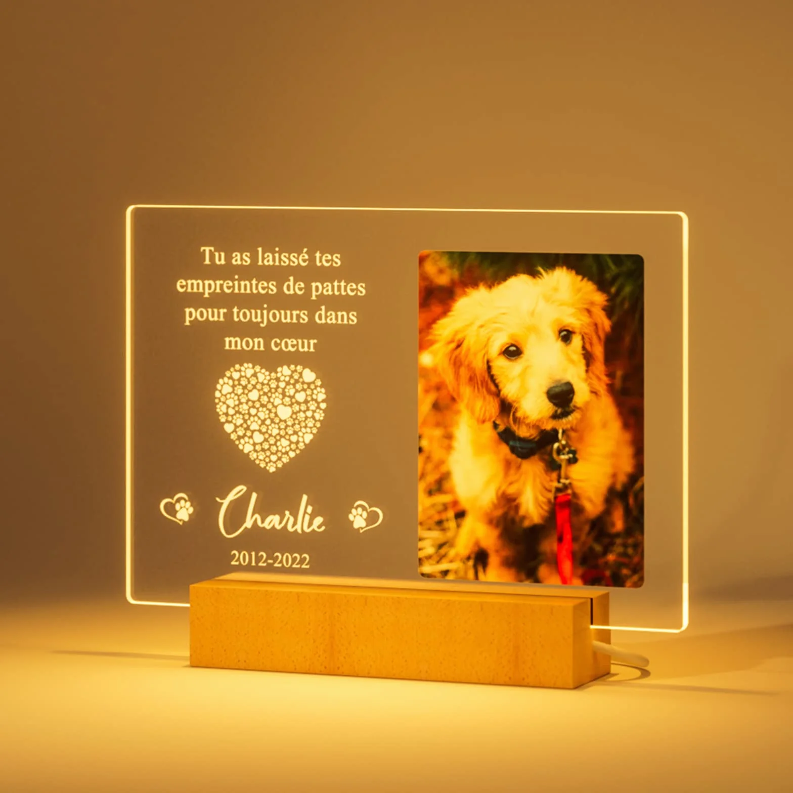 Plaque Commémorative Personnalisée pour Chien Décédé avec Cadre Photo