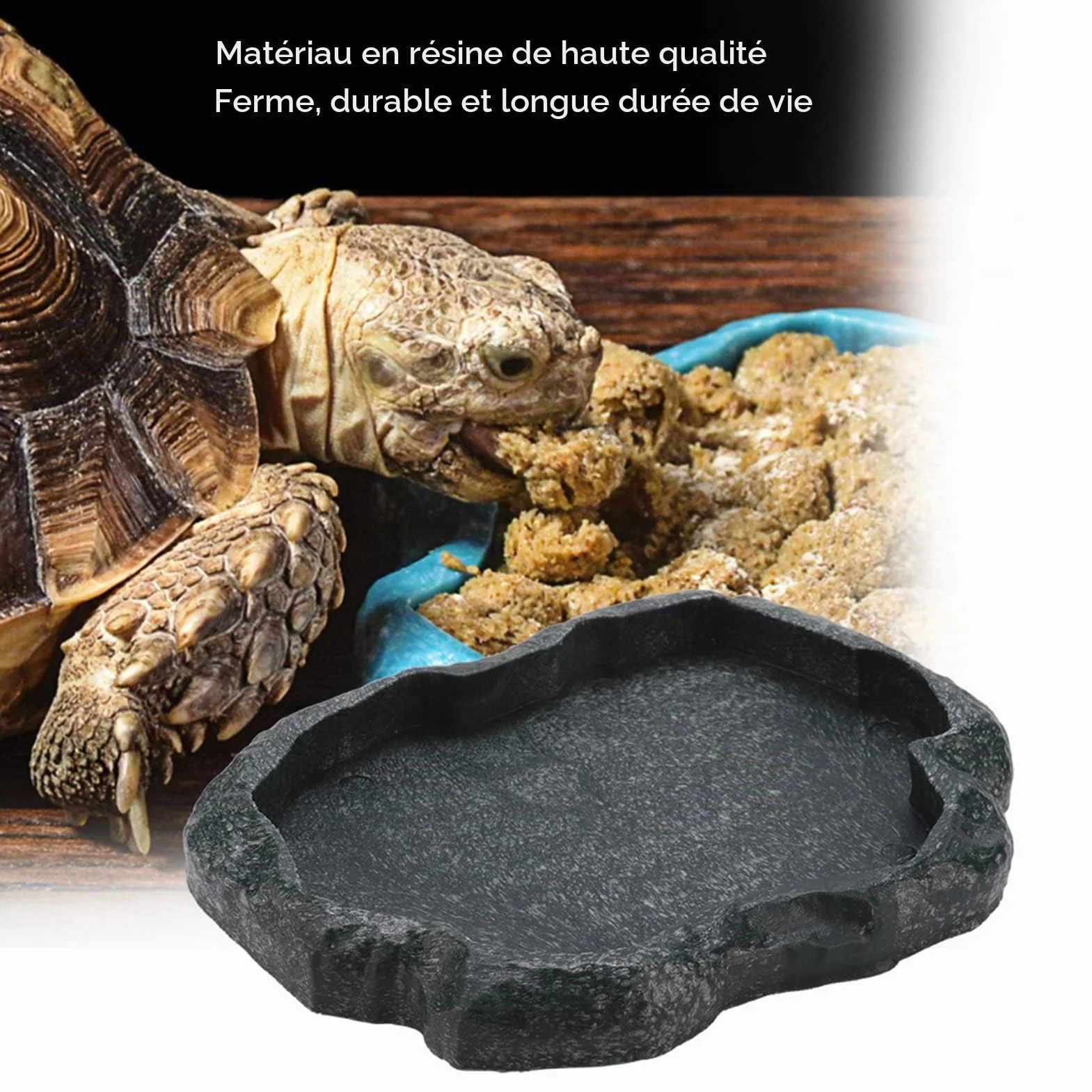 Bol d'alimentation en Résine pour Reptiles Yosoo, Décor de Terrarium pour Tortue Lézard (M)