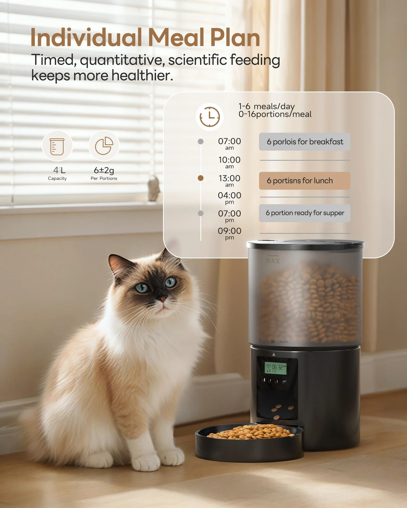 Distributeur Croquettes Chat Automatique avec Minuterie 4L Noir