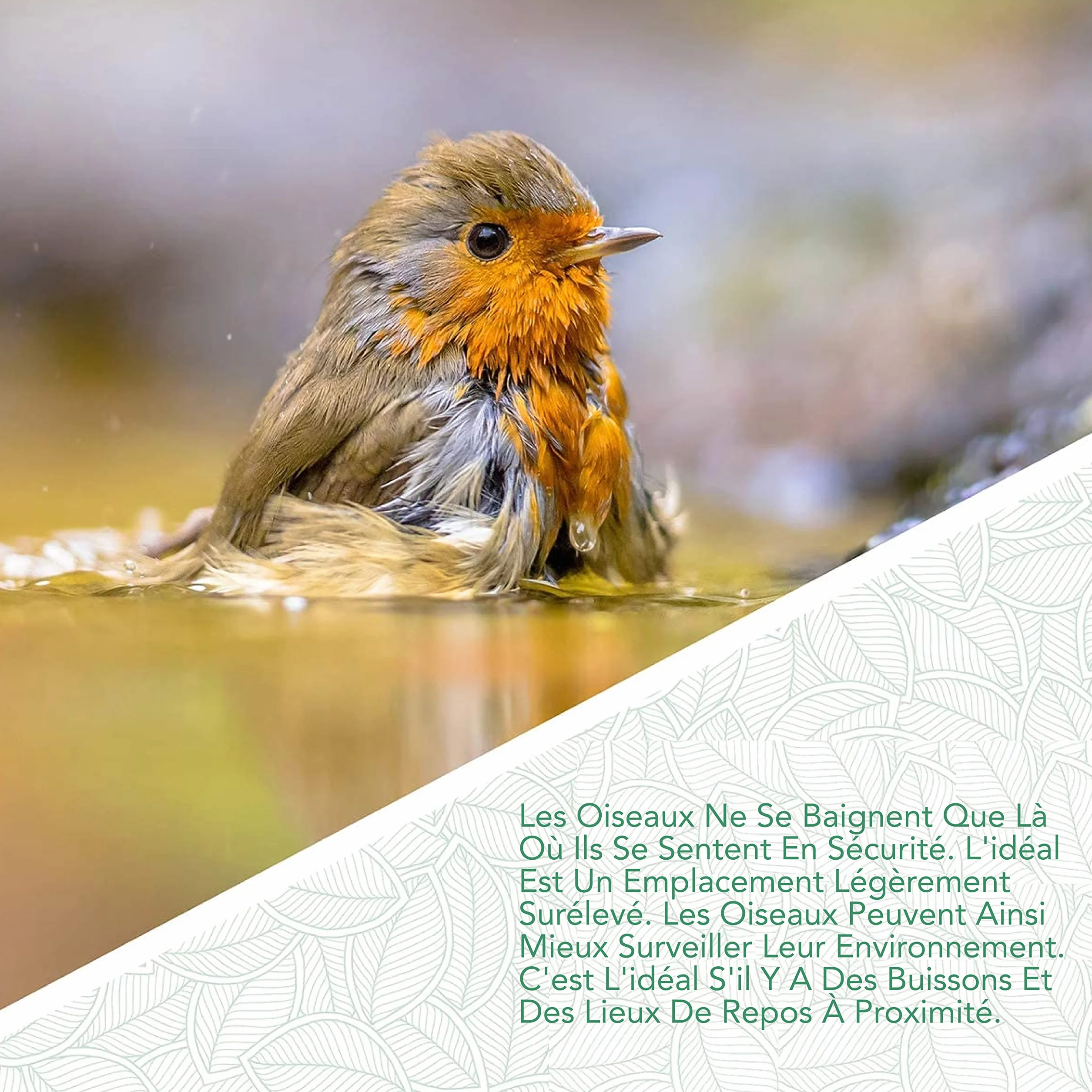 Abreuvoir Oiseaux Exterieur sur Pied Résistant aux Intempéries Bain Mangeoire Oiseaux Sauvage Jardin Forme Feuille