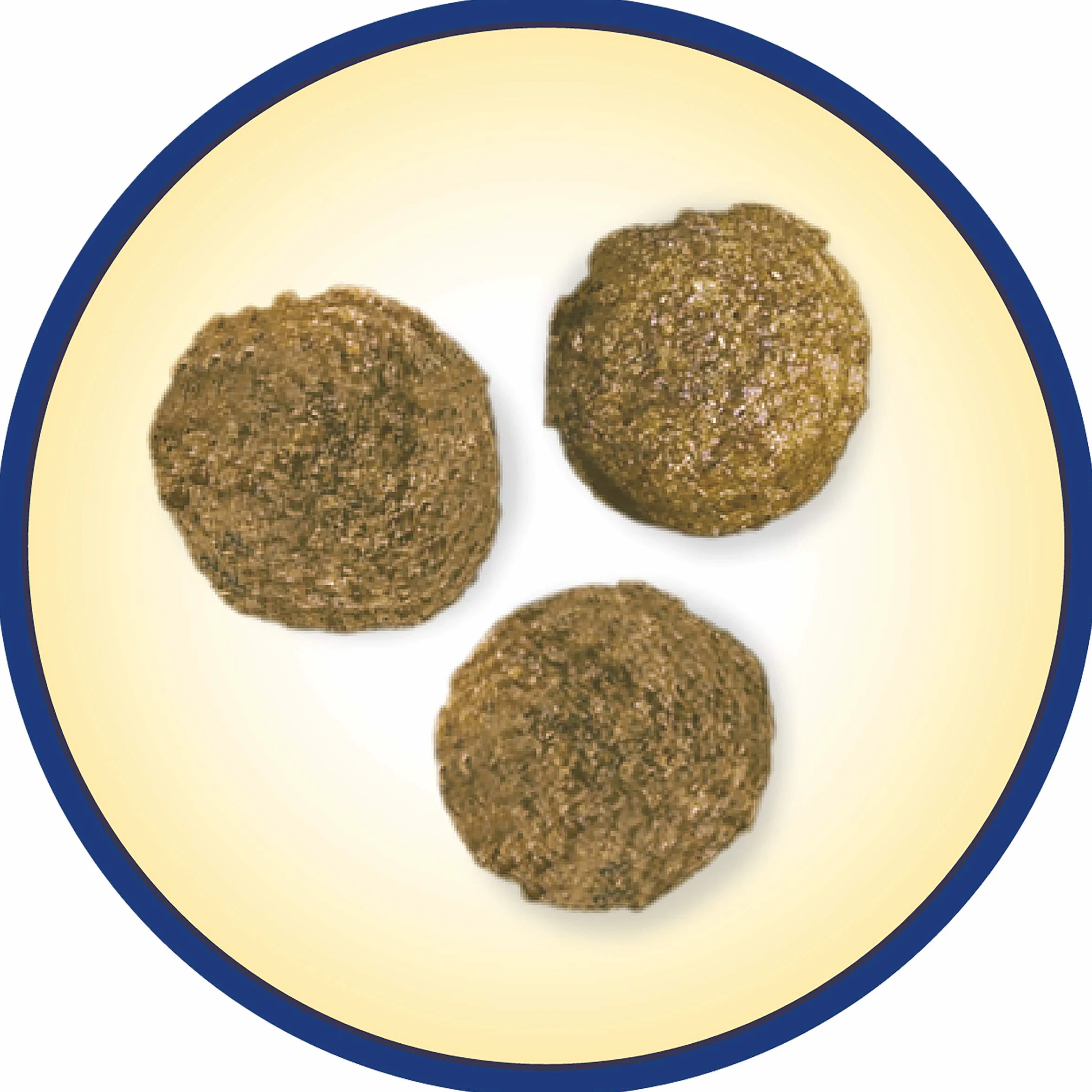 DOG CHOW Aliment Complet Chien Adulte Croquettes au Saumon 14 kg