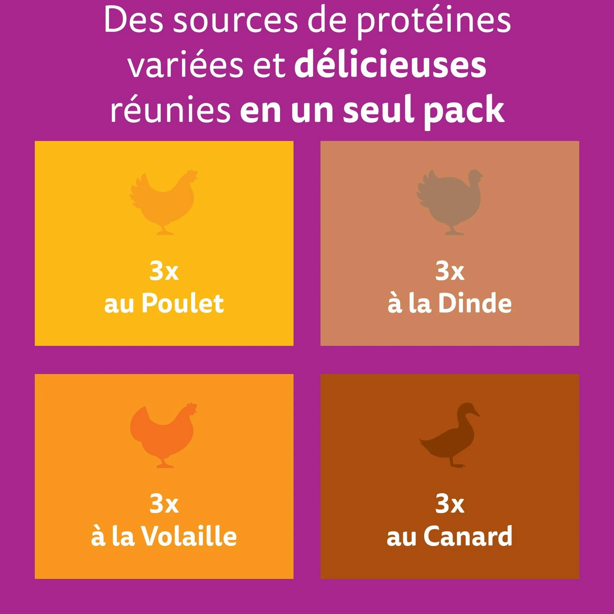 WHISKAS Aliment humide en gelée Chat junior 12x85g Festins à la Volaille Lot de 4 48 Sachets