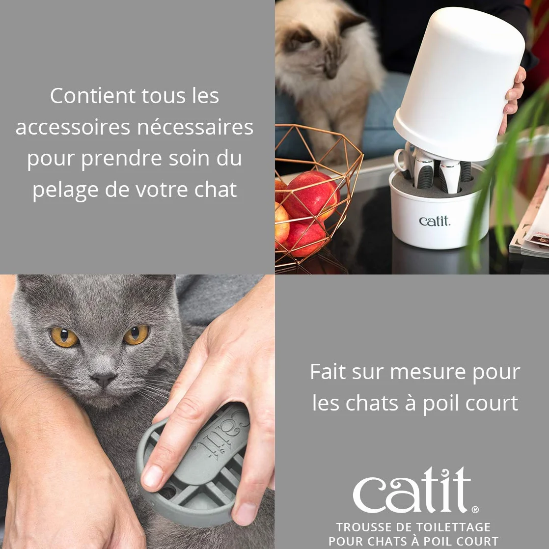 Catit Kit de toilettage pour chats à poils courts
