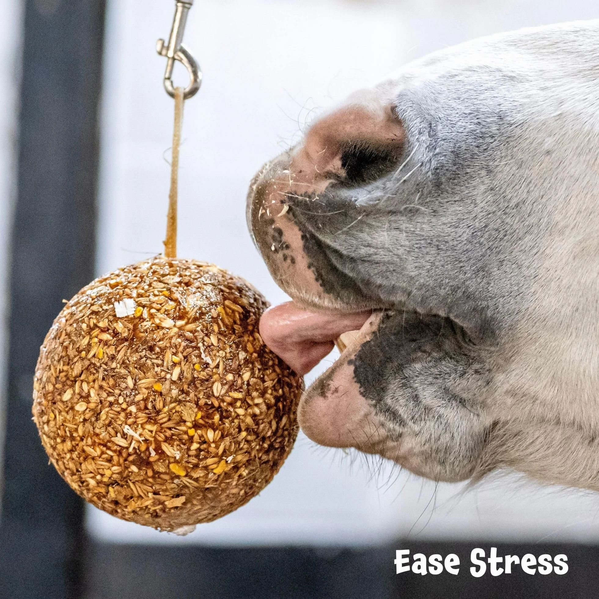 Likit Granola Stall-Ball Friandises pour cheval 1,6 kg pomme baies mélangées menthe poivrée mélasse anti-stress
