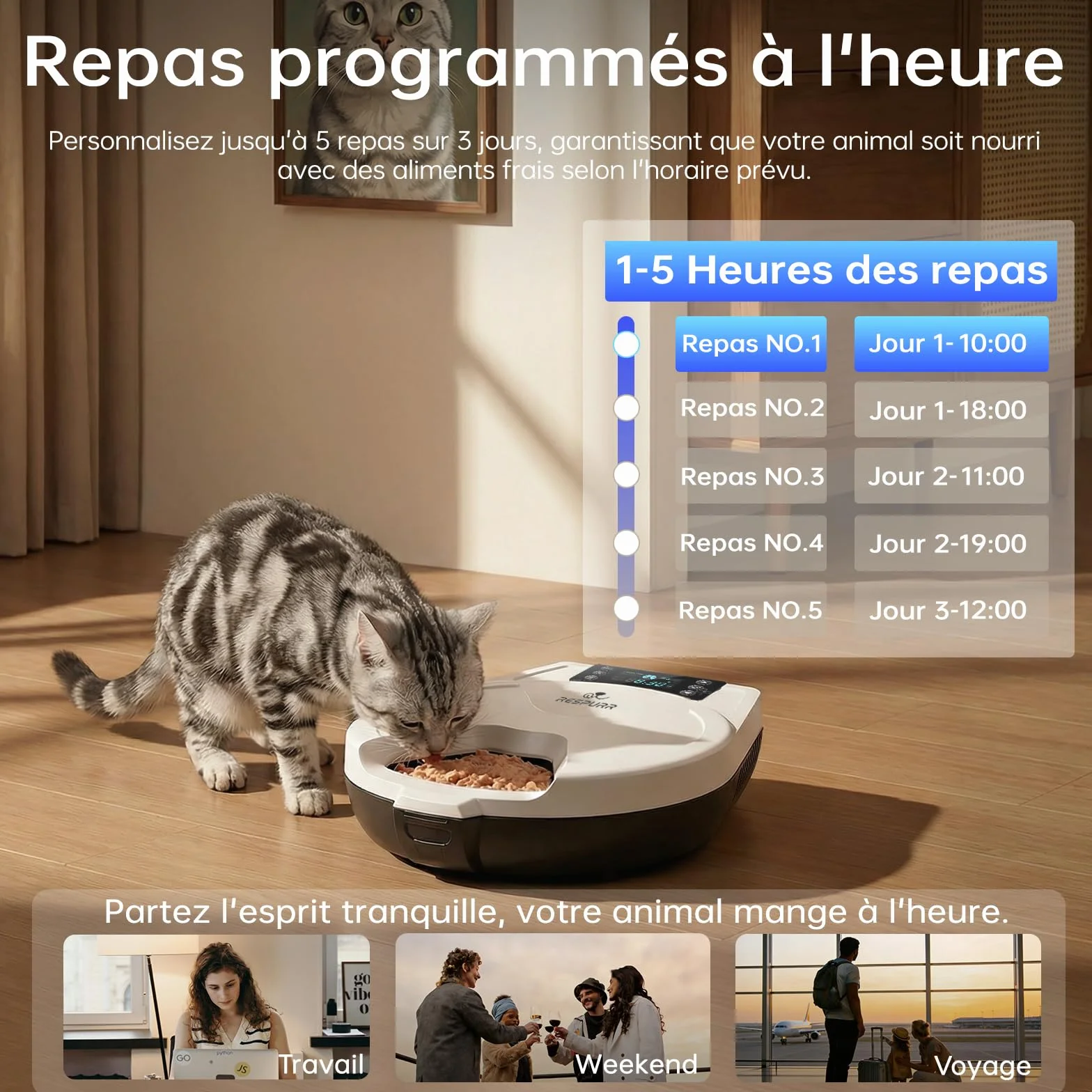 Distributeur Nourriture Humide Chat, 5 Repas Frais, Refroid & Chauff, Bol INOX 304, Automate Programmable