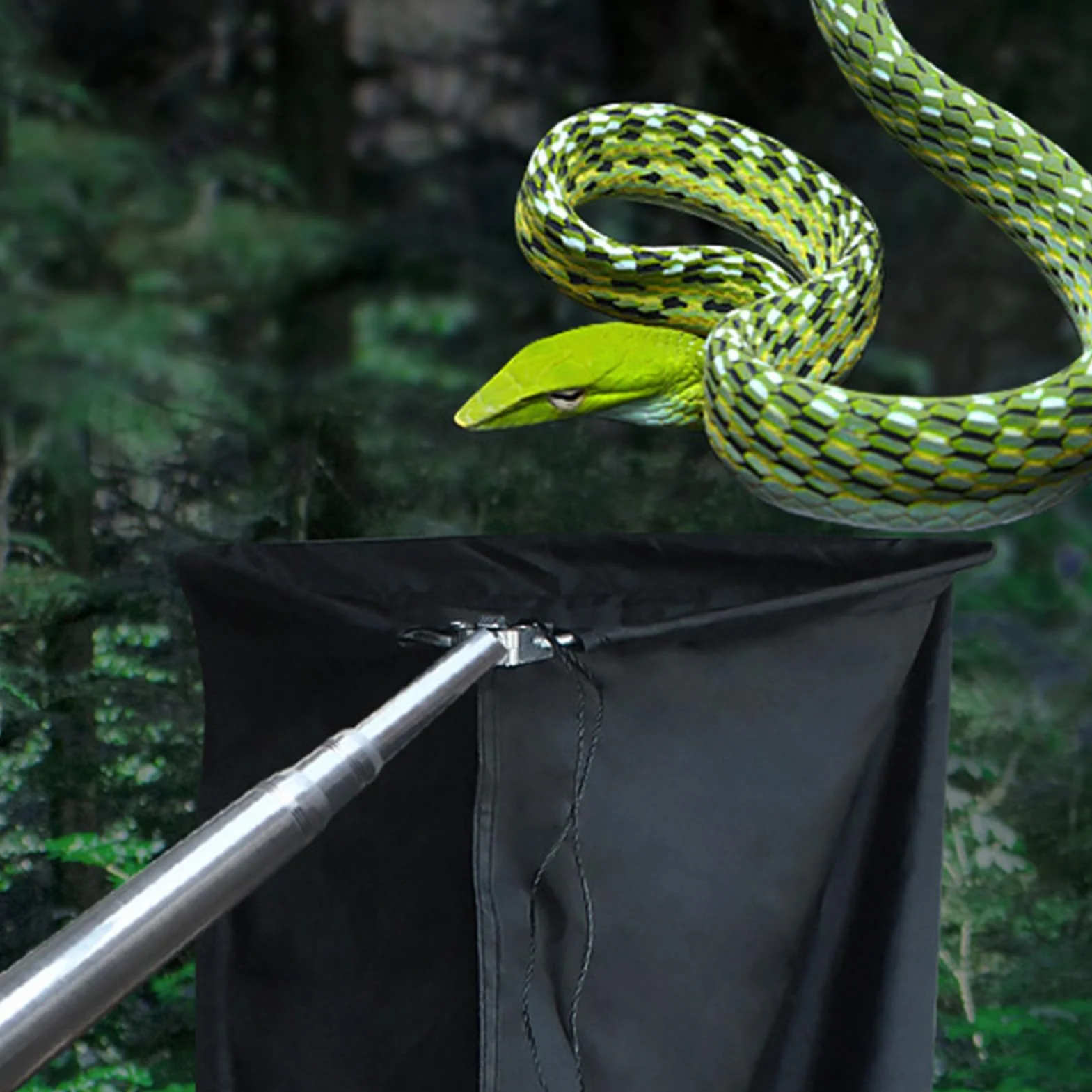 Attrape-Serpent rétractables avec Crochet Serpent Robuste, Outil de Manipulation Efficace pour Extérieur, Pince à Longue Portée