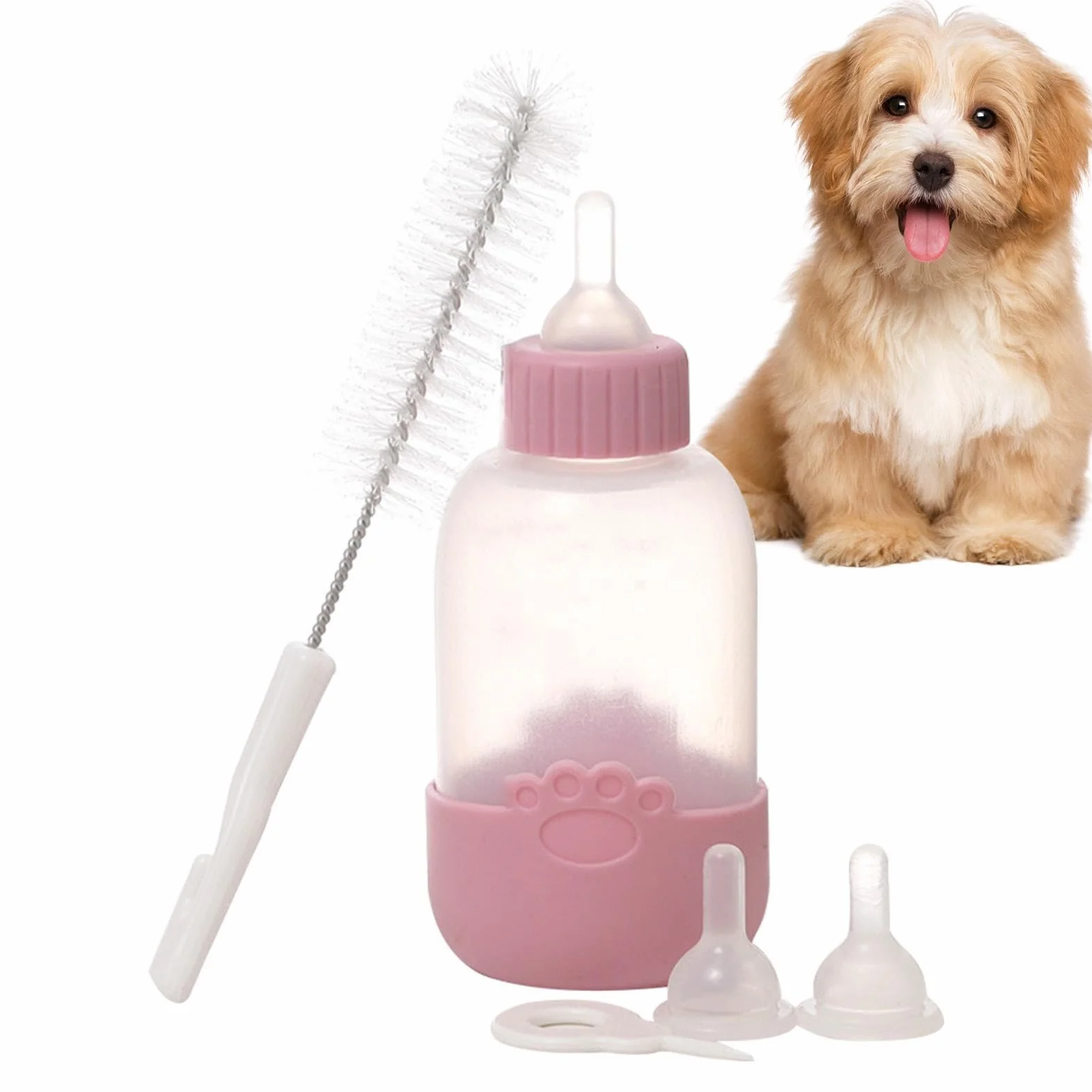 Biberon d'alimentation pour chaton 100 ml - Mangeoire à lait avec tétine et brosse