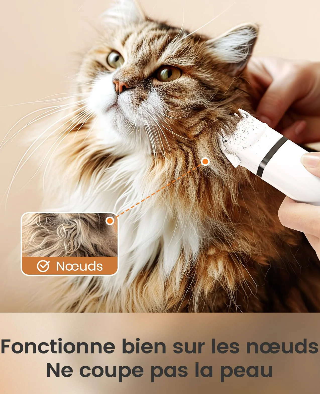 oneisall 3 en 1 Tondeuse Chat Chien Set, Tondeuse Professionnel Silencieux pour Chats, Rasoir pour Chats Chiens à Poils de Pattes