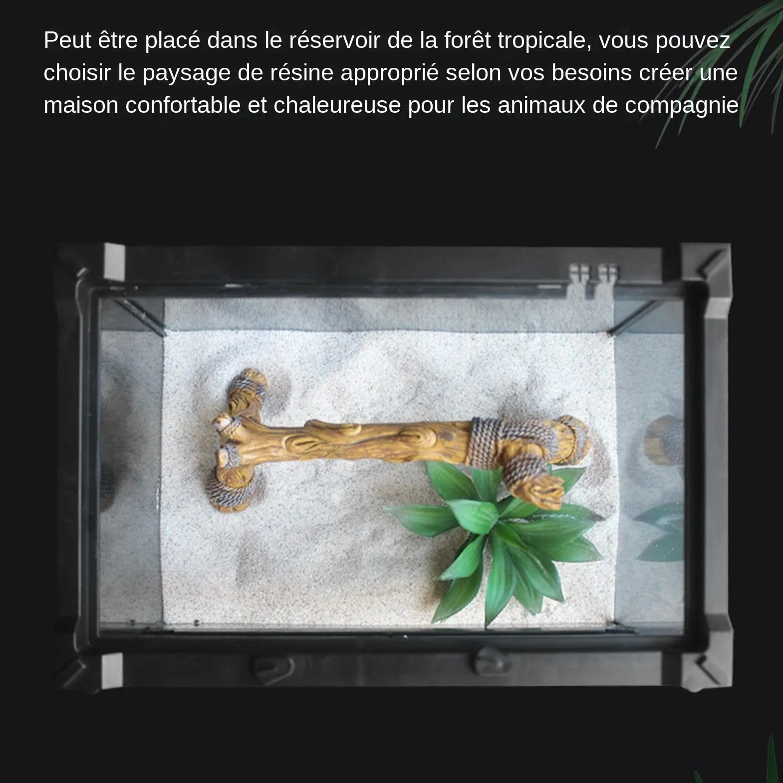 Branches de Bois Épaisses pour Reptile – Décorations d'Habitat de Serpent, Branches Grimpantes de Terrarium en Bois, Ornement de Tronc d'Arbre