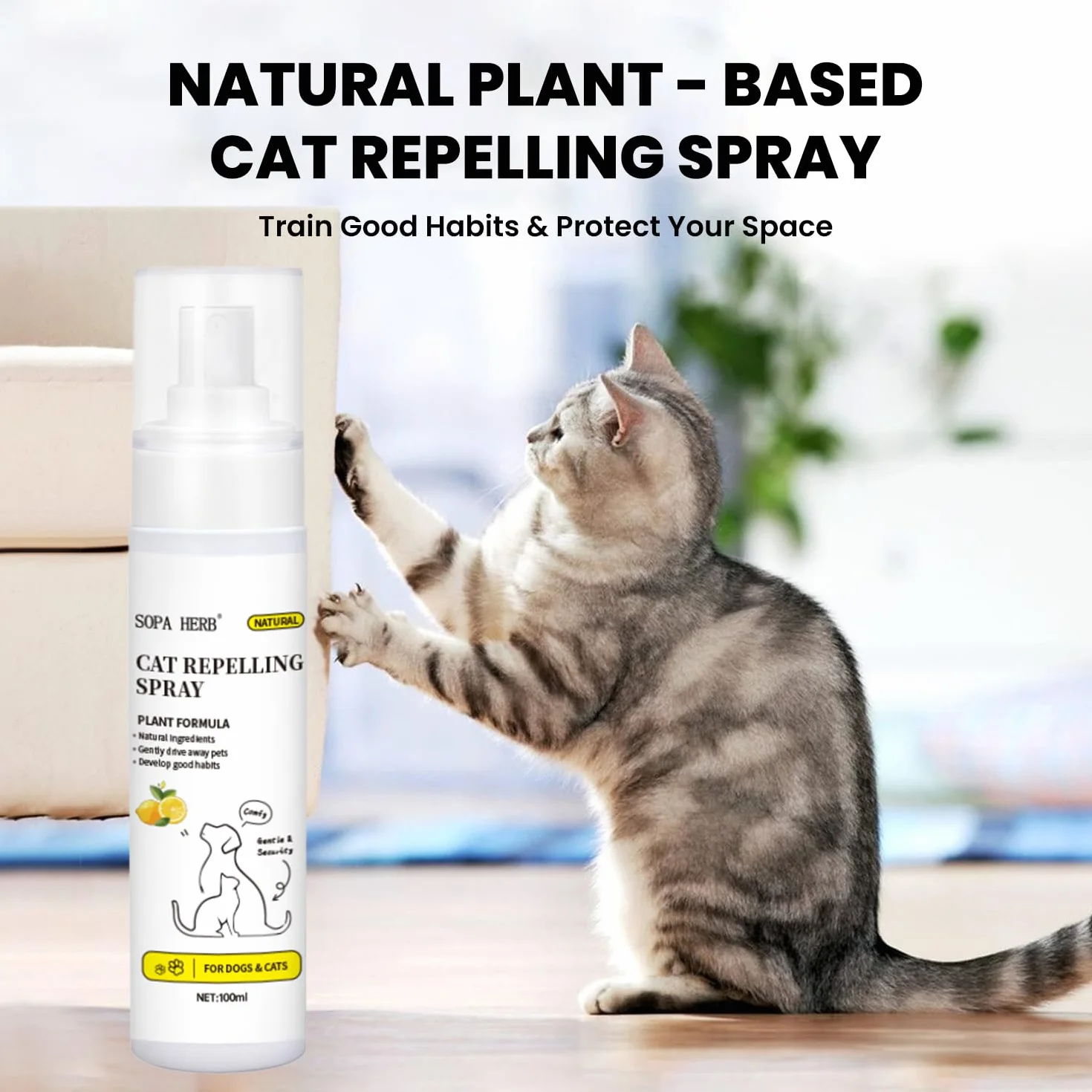 Sopa Herb Spray Répulsif pour Chats 100ml, Protection Intérieure et Extérieure, Parfum Frais d'Orange