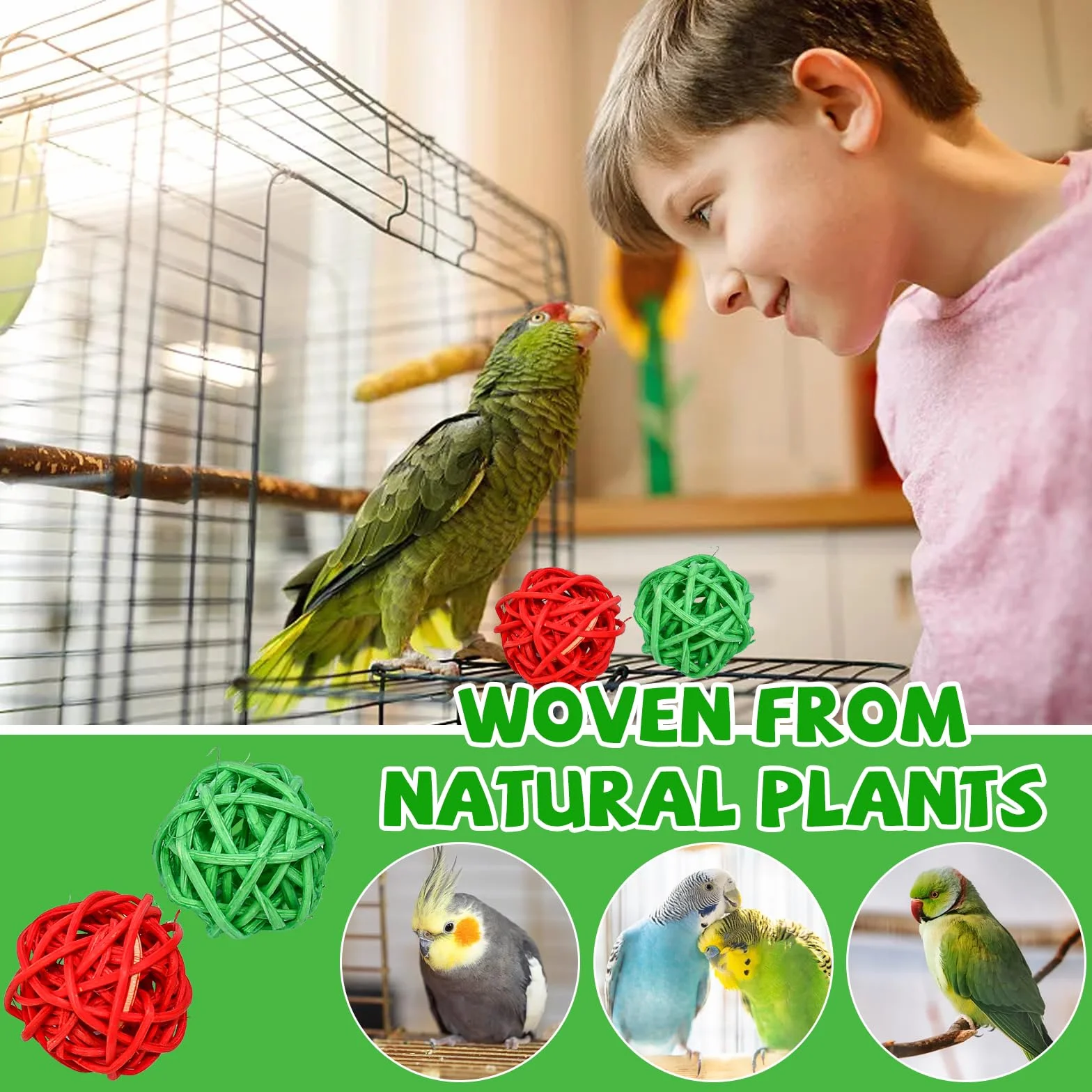 Mangeoires en Acier Inoxydable pour Oiseaux, Mangeoire Suspendue pour Cage à Perroquets avec 2 Boules de Rotin