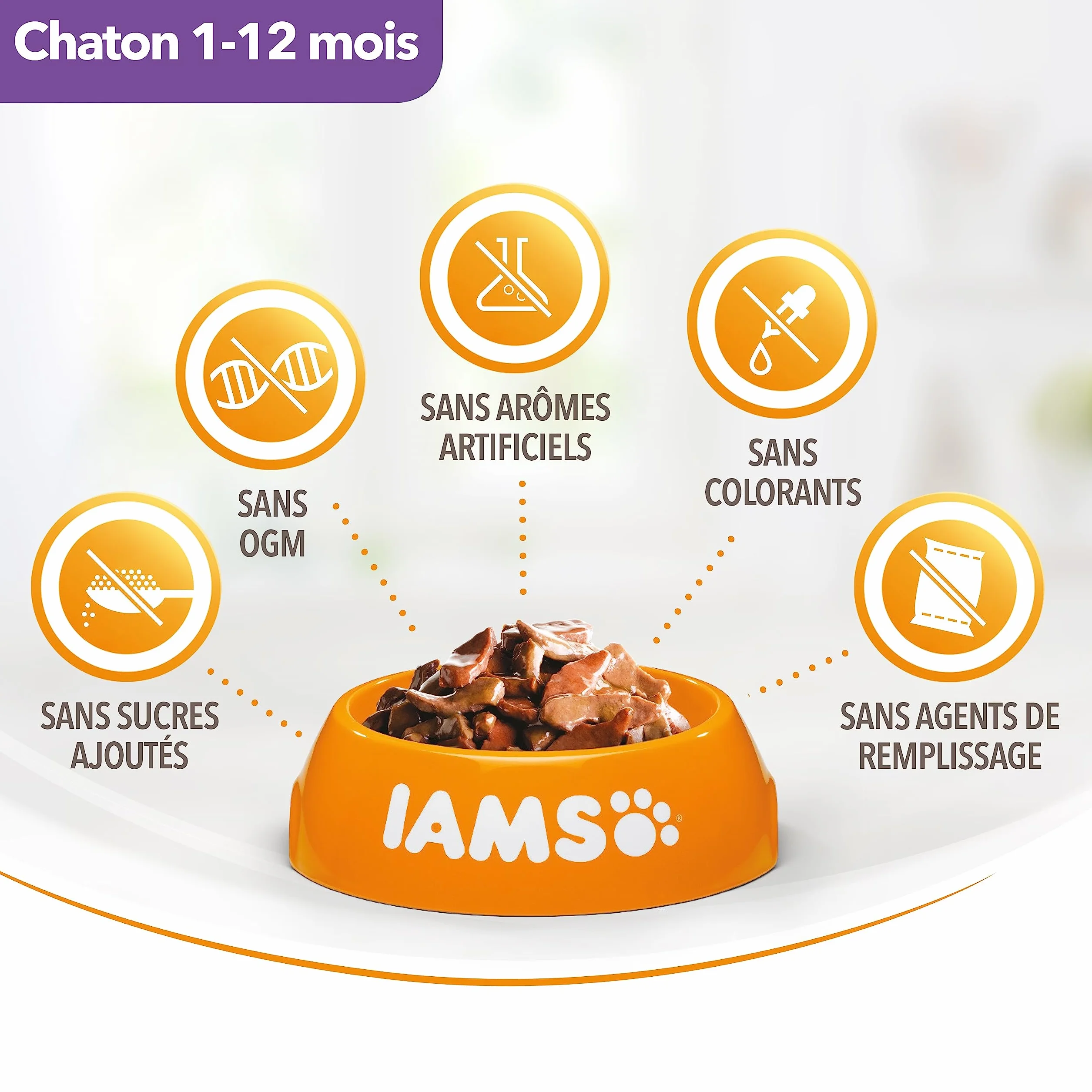 IAMS Nourriture Humide en Sauce Poulet pour Chaton 12 Sachets x 85 g