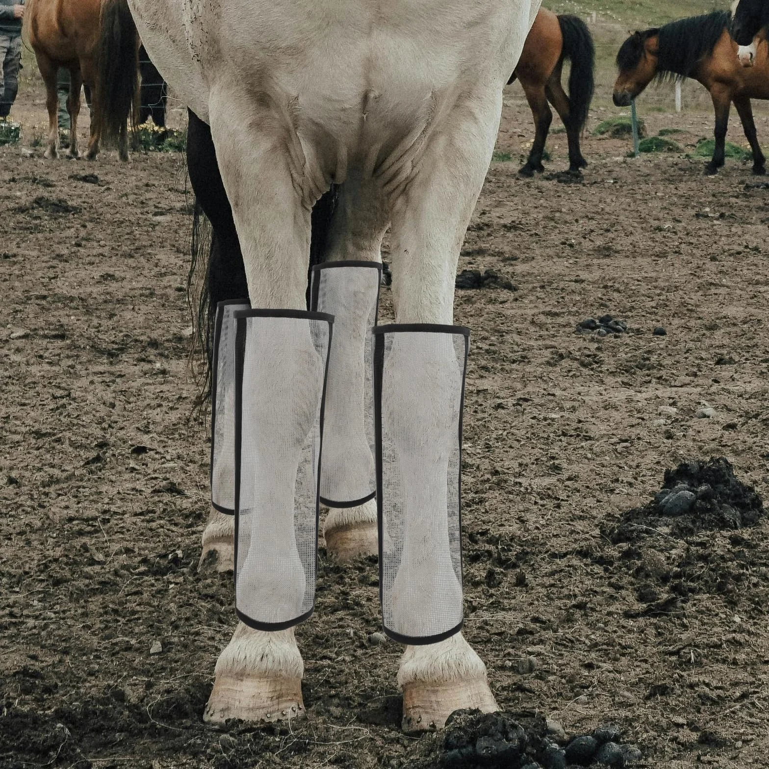 Guêtre Anti Mouche Âne Polyester Lot 4 Pièces Protection Respirante Jambes Cheval