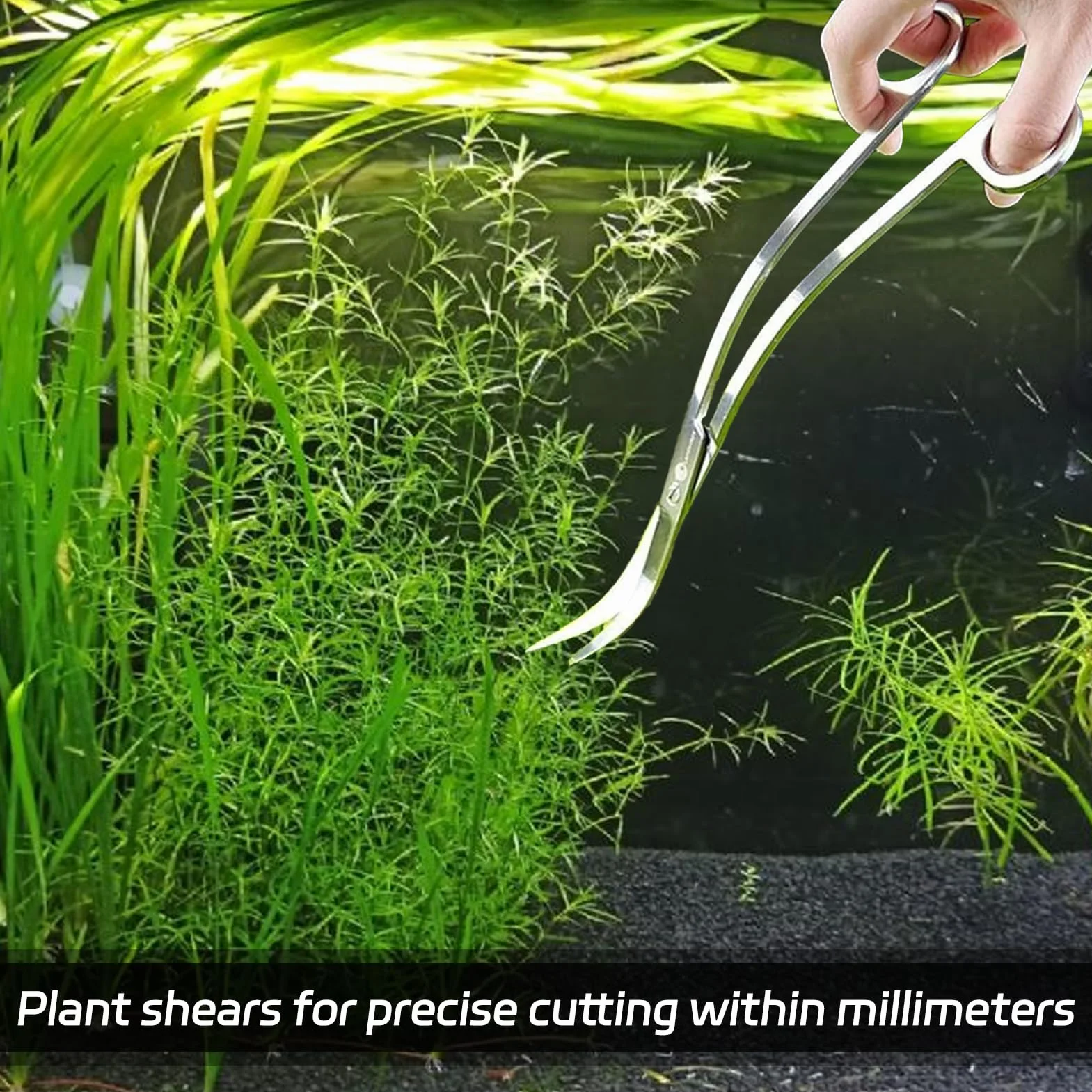 Ciseaux d'Aquarium Courbés en Acier Inoxydable 25 cm pour Aquascaping