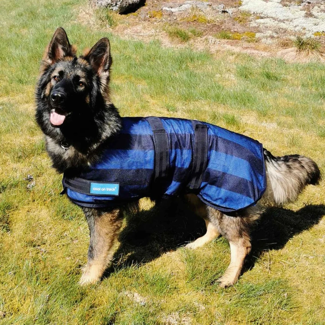 Back-on-Track Manteau Rafraîchissant Anti UV Cool on Track pour Chien Bleu 40 cm