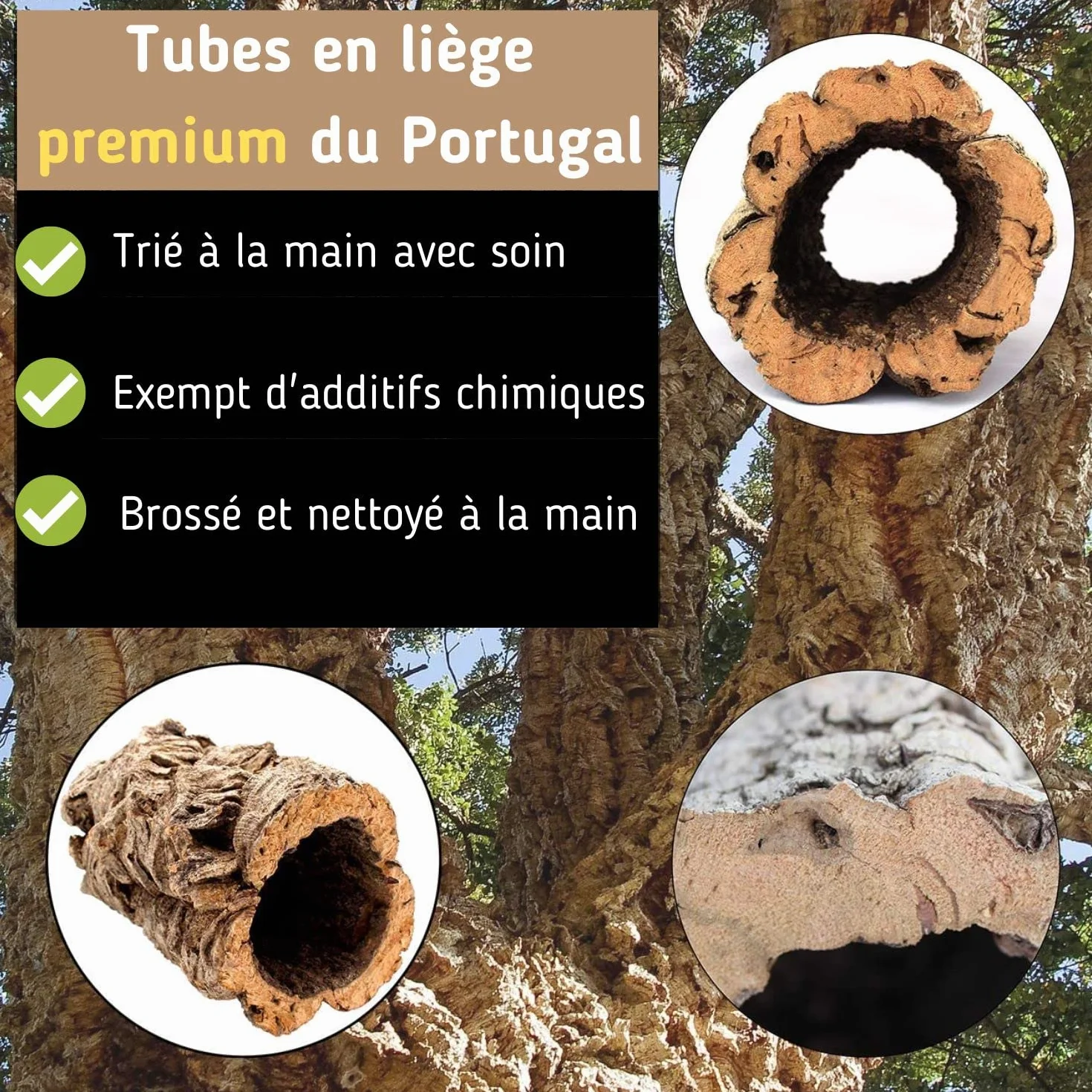 Tunnel en liège pur 20 cm x 15 cm décoration terrarium
