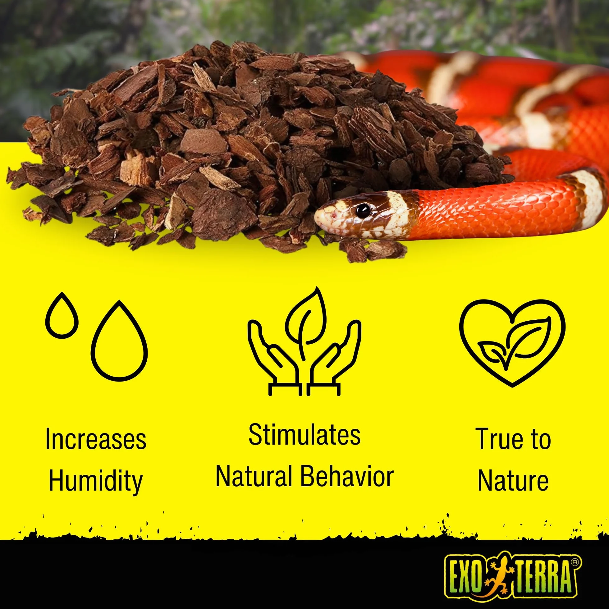 Exoterra Forest Bark Substrats pour Reptile Amphibien 4,4 L