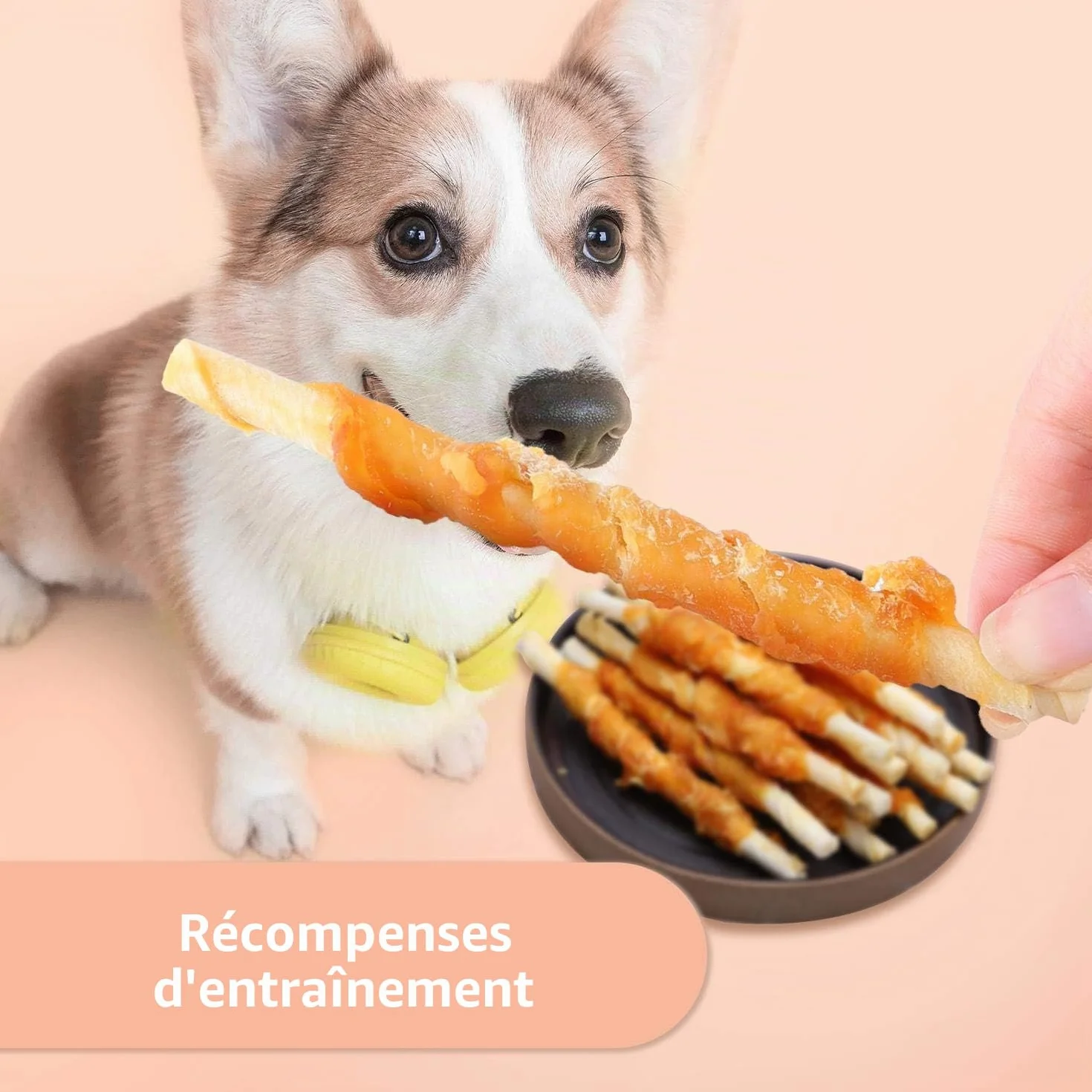 Friandise pour Chien Poulet Stick Enrobé 100g Naturelles Riches en Protéines Lot de 6