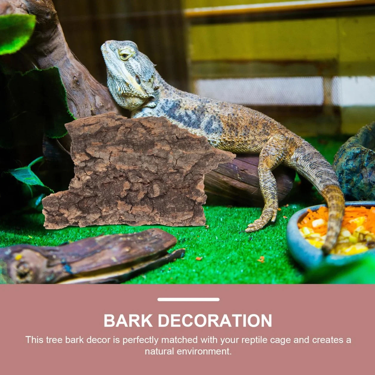 LALAFINA Lot de 10 Écorces Décoratives Naturelles pour Terrarium Reptiles Lézards Tortues Petite 5-9 CM Bois Sûr