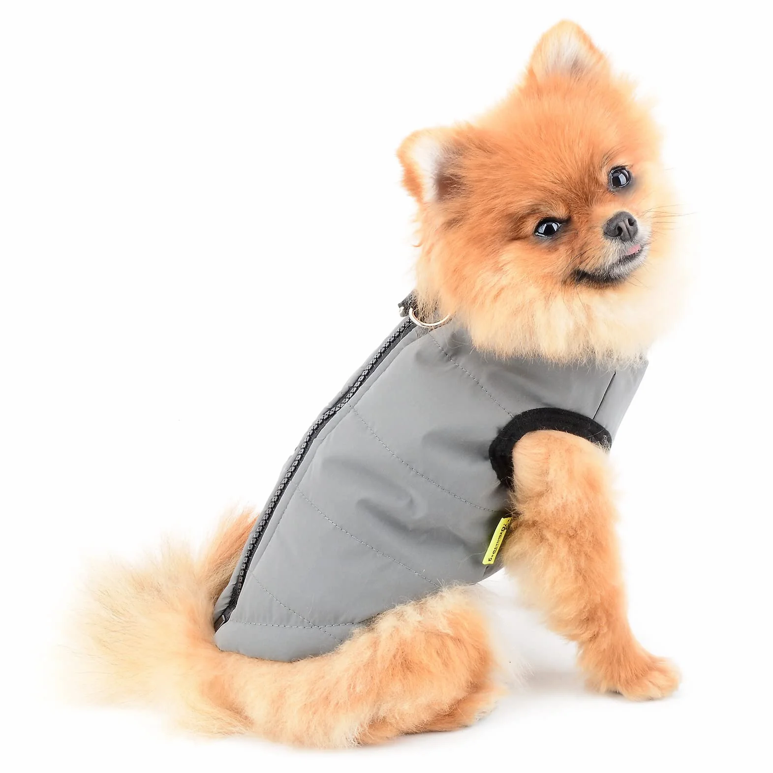 Veste d'hiver imperméable pour chien avec anneaux en D, manteau matelassé taille S gris