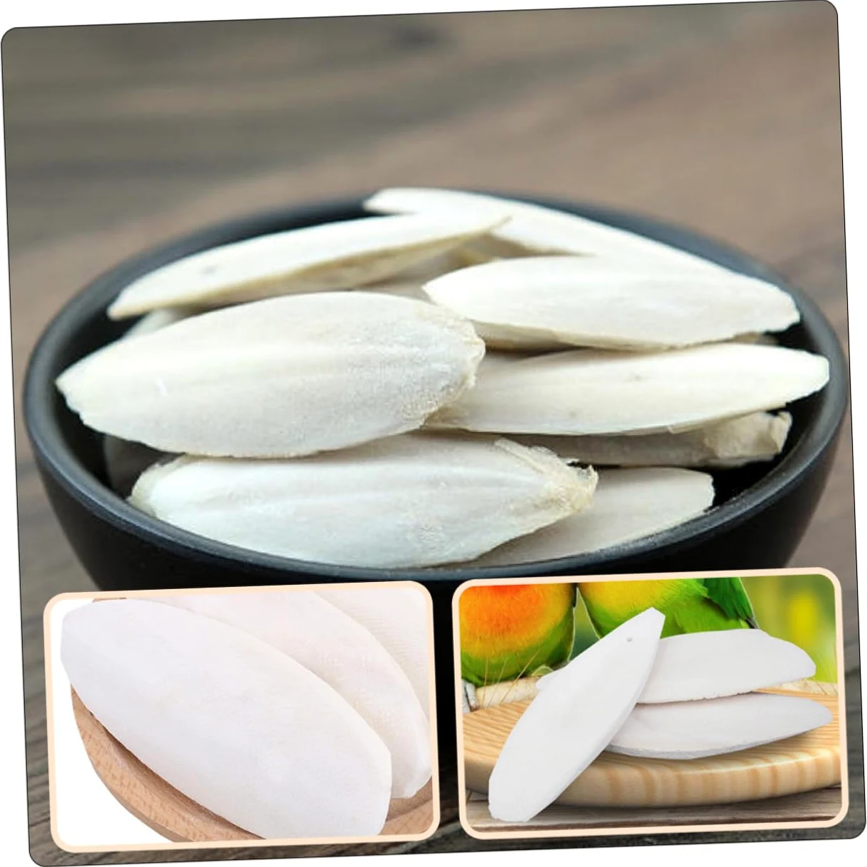GALPADA 36 Ensembles Lot de Os de Seiche à Mâcher pour Petits Animaux de Grignotage Naturel Calcium avec Support Métallique pour Hamsters Cochons et Oiseaux