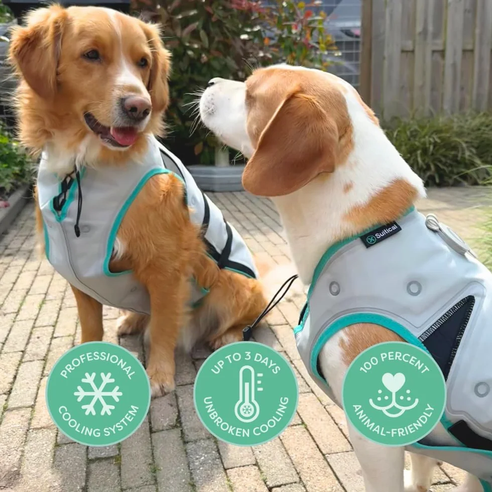 Suitical Dry Cooling Vest Chien XS Argent