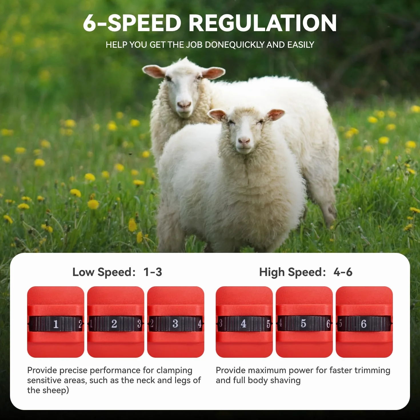 ONEVAN Tondeuse à moutons sans fil 500 W 6 vitesses 13 dents 2 batteries 3.0Ah Rouge
