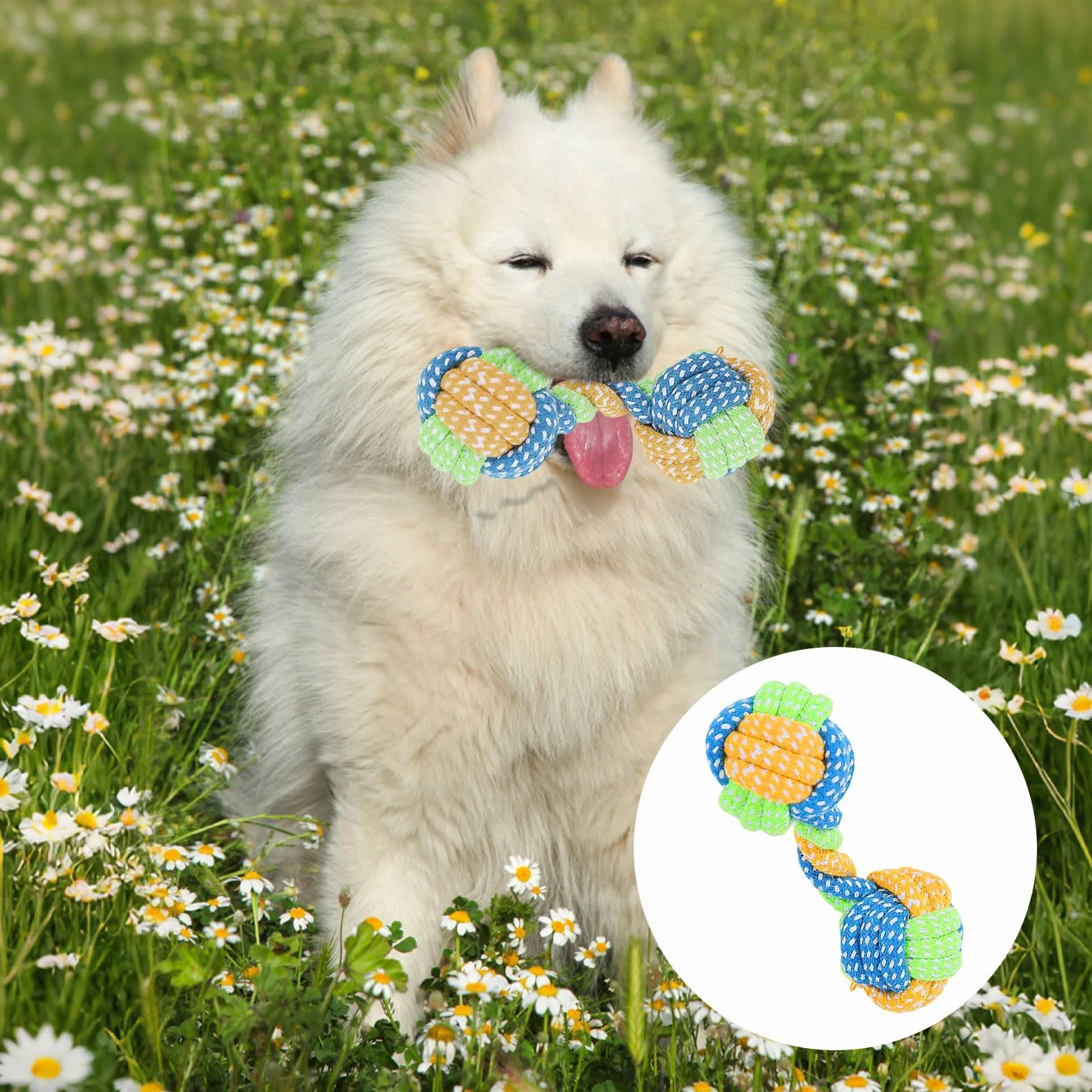 Jouet pour Chien Indestructible 7 Pièces Lot Corde Chien Durable Rose Vert