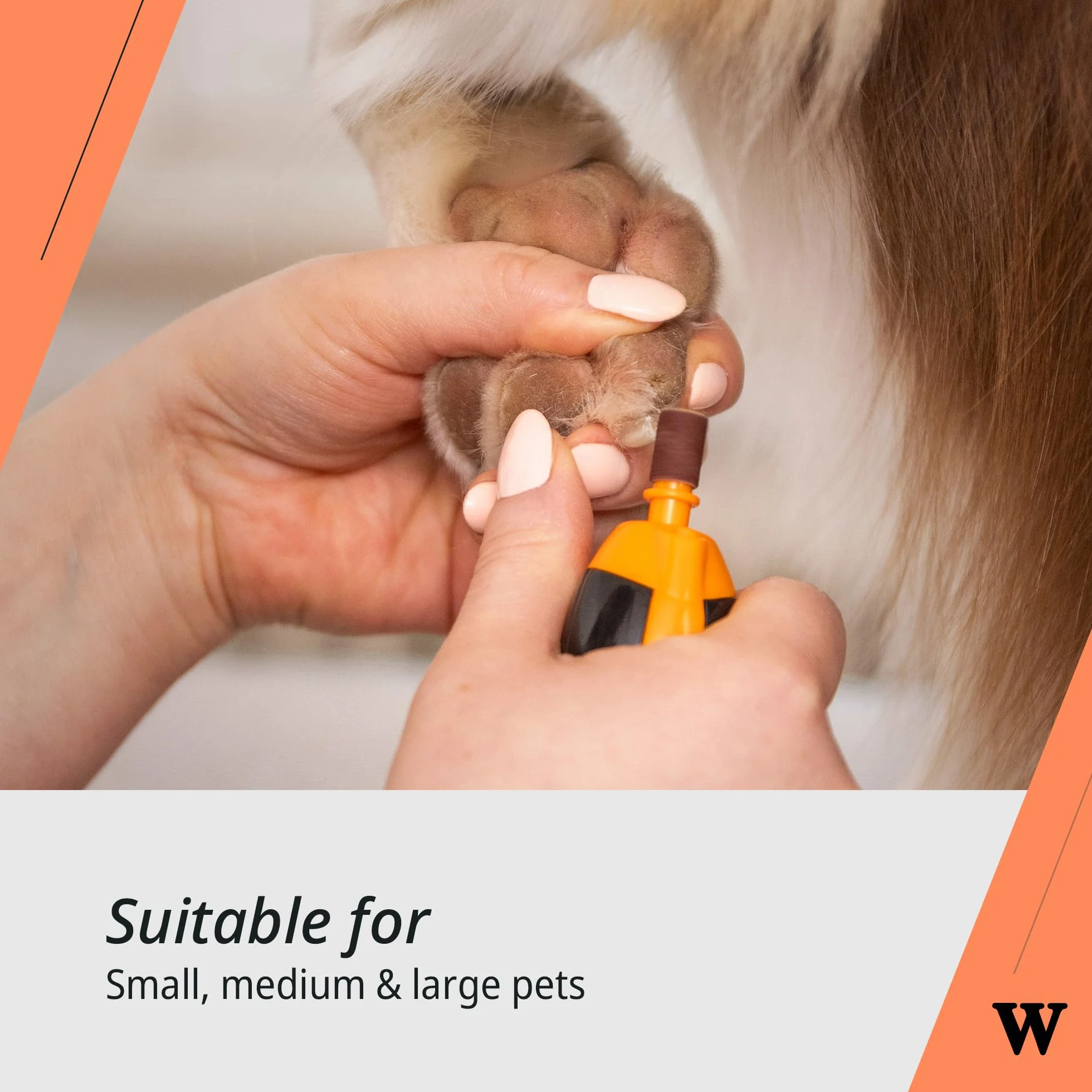 Wahl Pet Nail Grinder - Outil pour Couper Les Griffes des Animaux, Lime à Ongles silencieuse et légère pour Chiens, 2 Vitesses, sûre et Douce, Orange