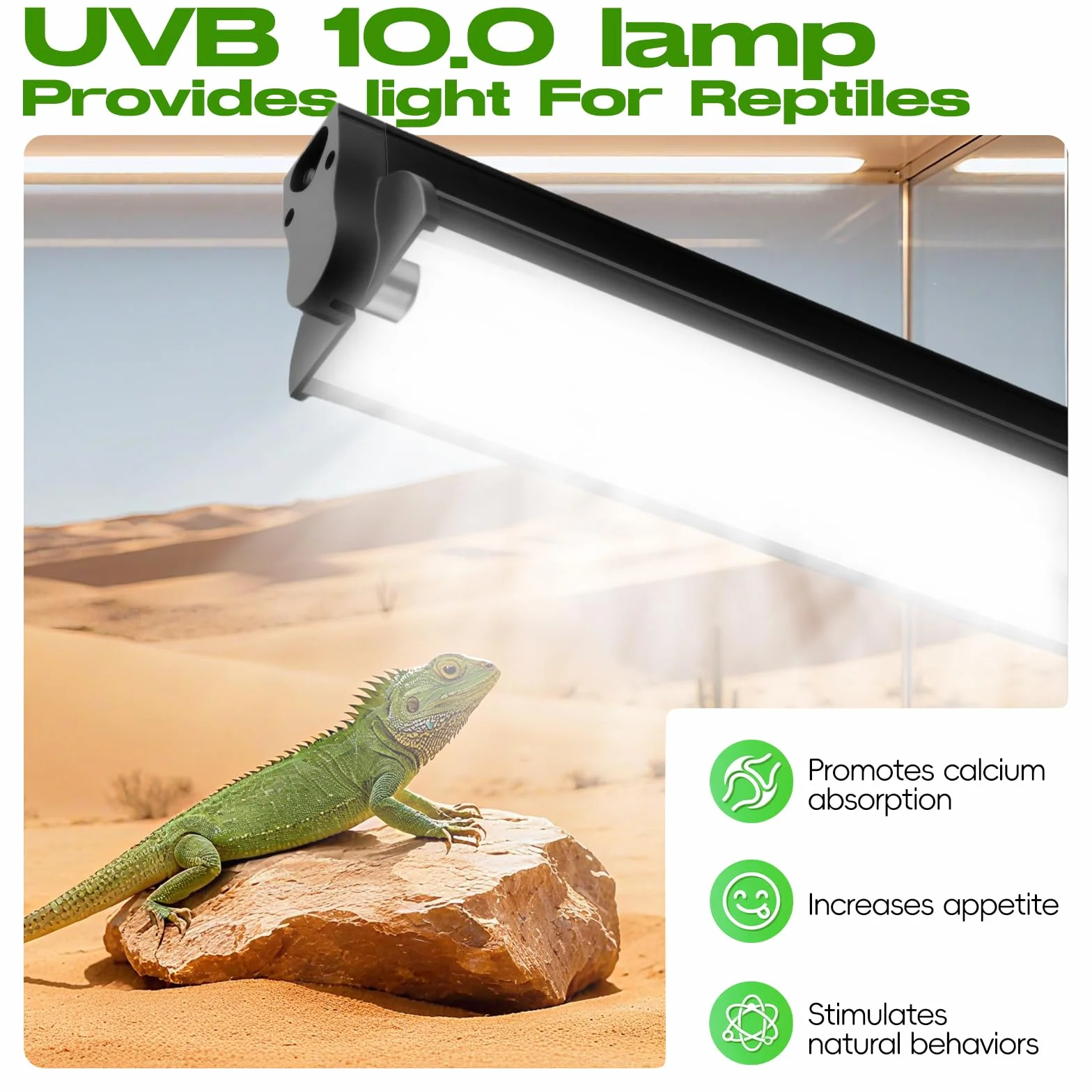 Kit d'éclairage UVB T5 8W 10.0 pour reptiles tropicaux et déserts