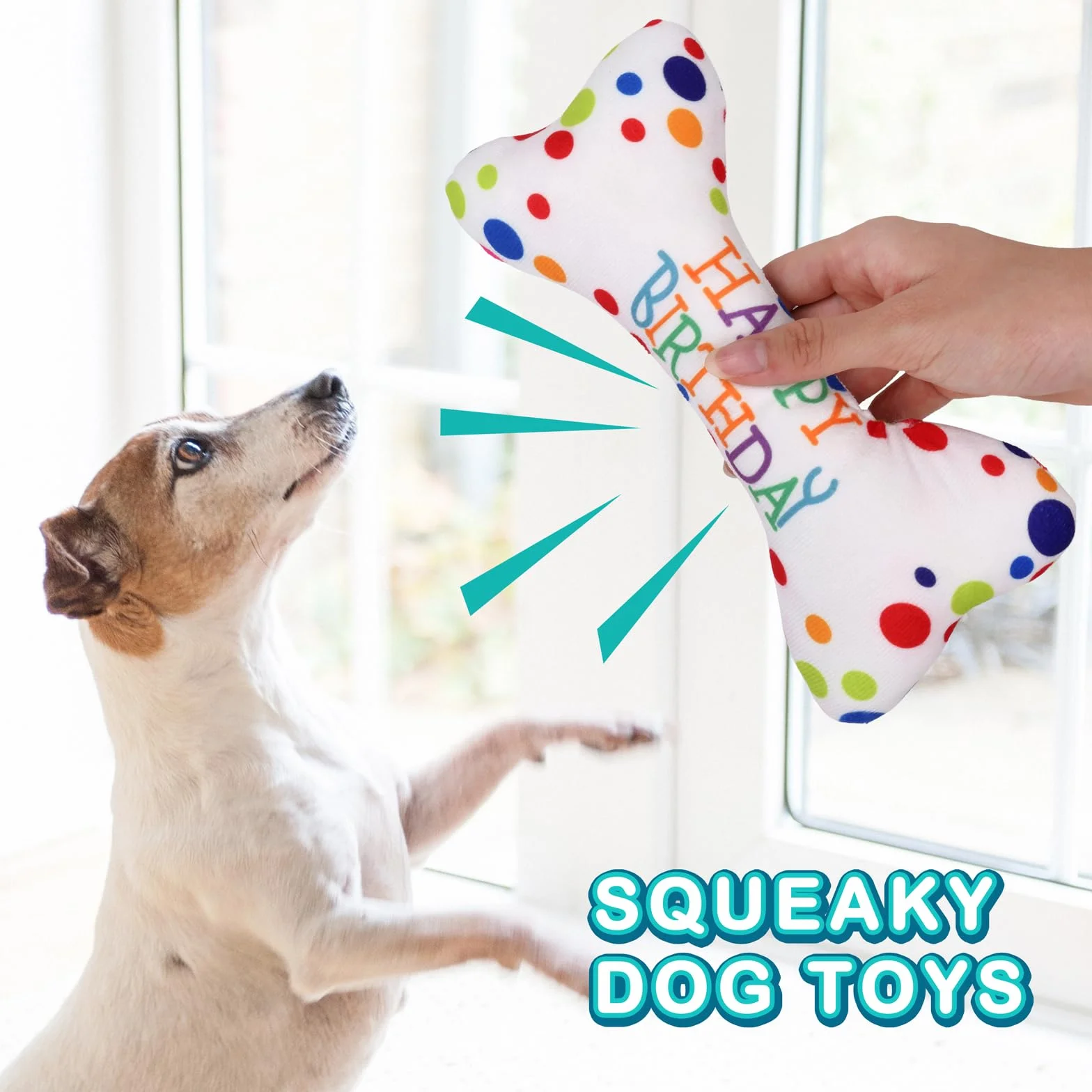 Lot de 4 jouets d'anniversaire pour chien - couineur réglable - chapeau - bandana - os en peluche