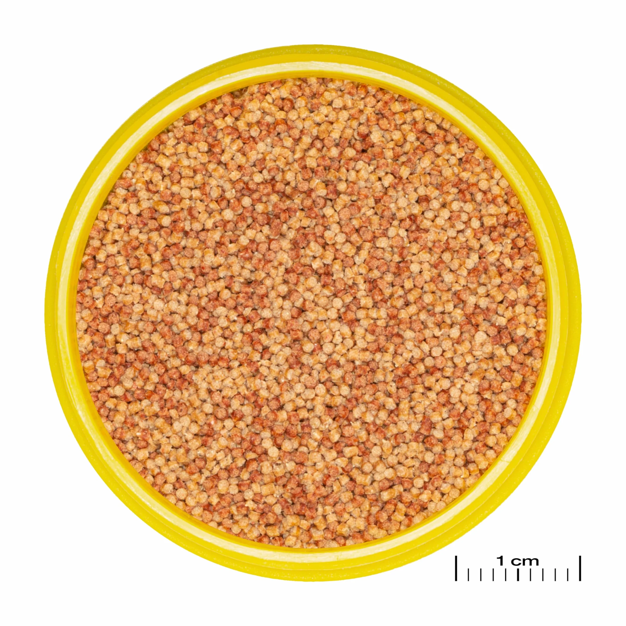JBL PRONOVO COLOR GRANO S 100ml CLICK